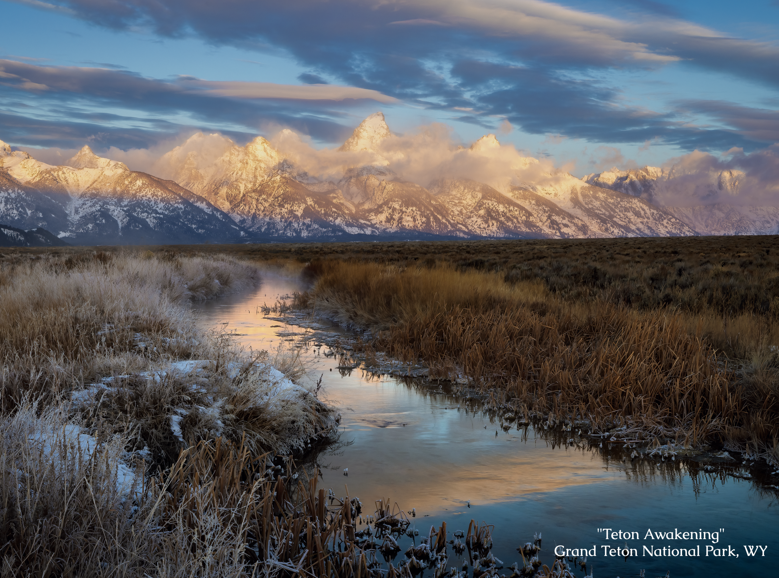 Screen Shot 2025-12-12 at 11.41.20 AM.png