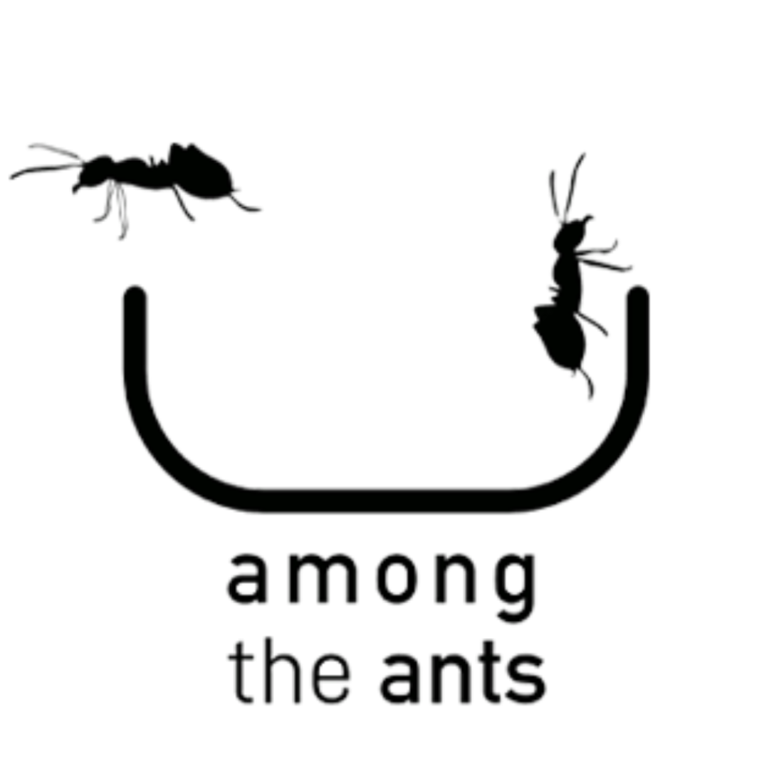 Among the Ants
