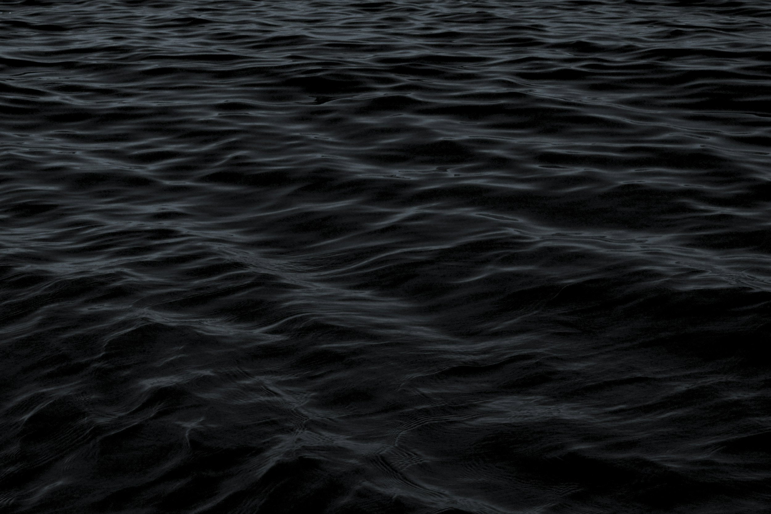 Dark, rippling water surface with subtle reflections.