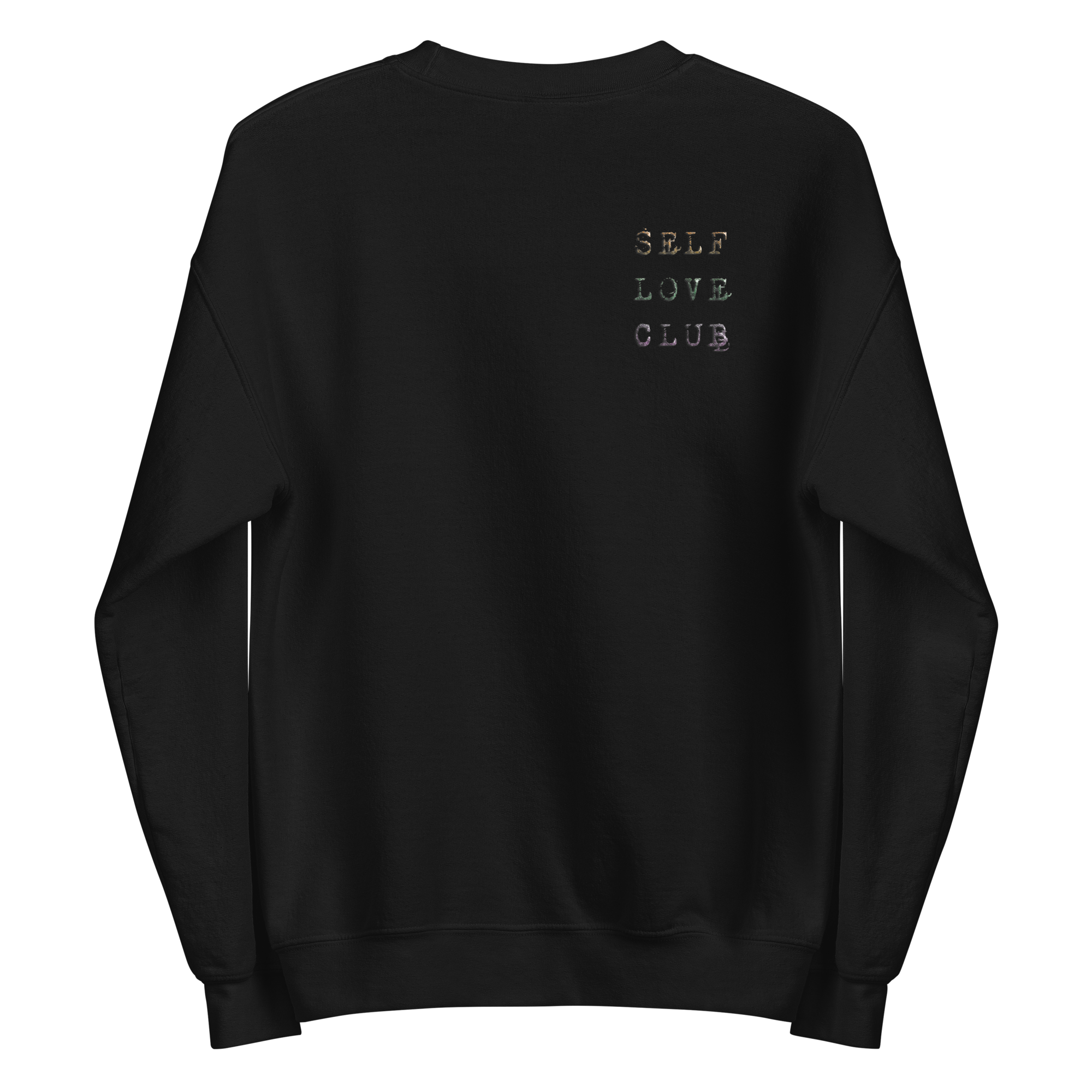unisex-crew-neck-sweatshirt-black-back-6a35a916023c3.png