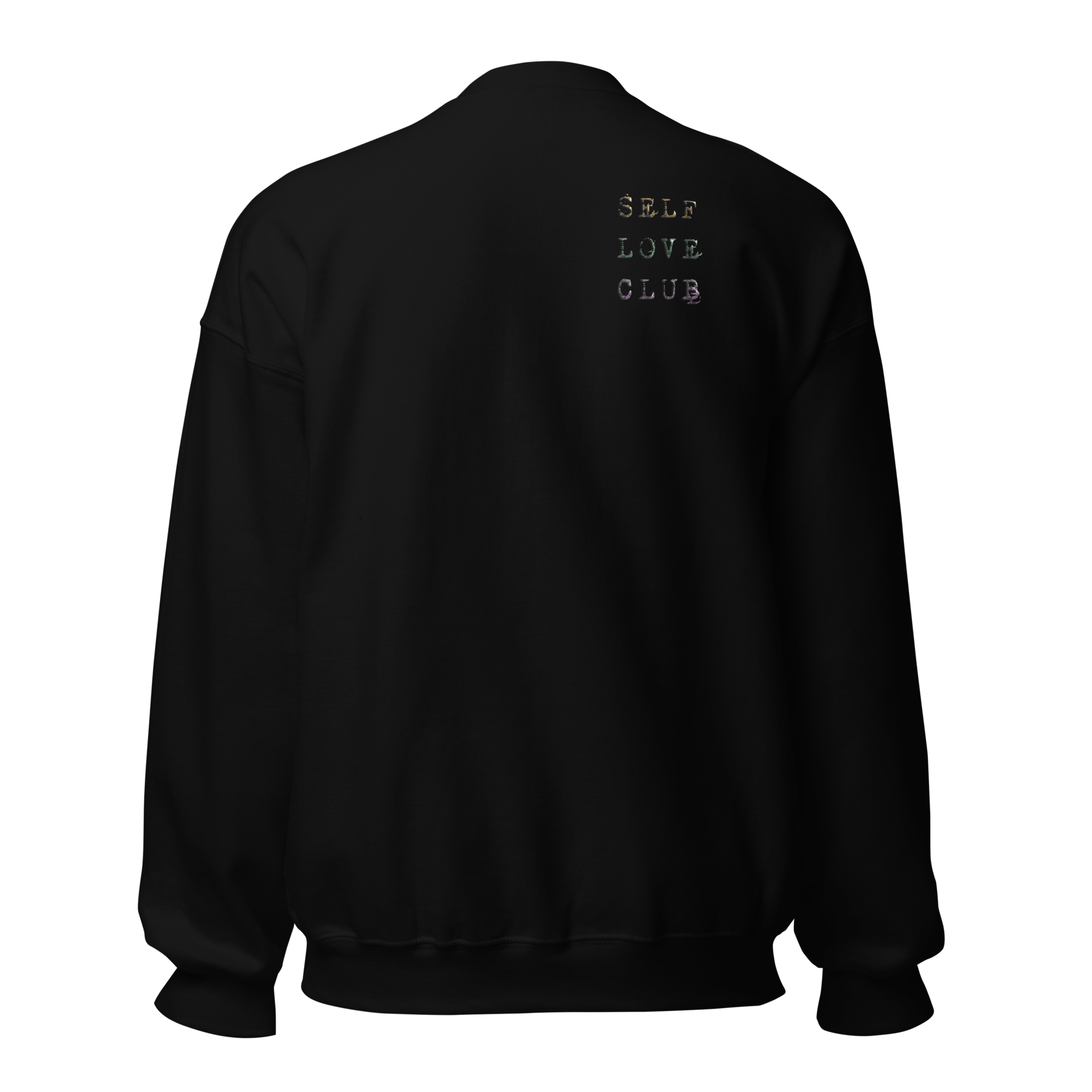 unisex-crew-neck-sweatshirt-black-back-6a35aa81b4fd8.png