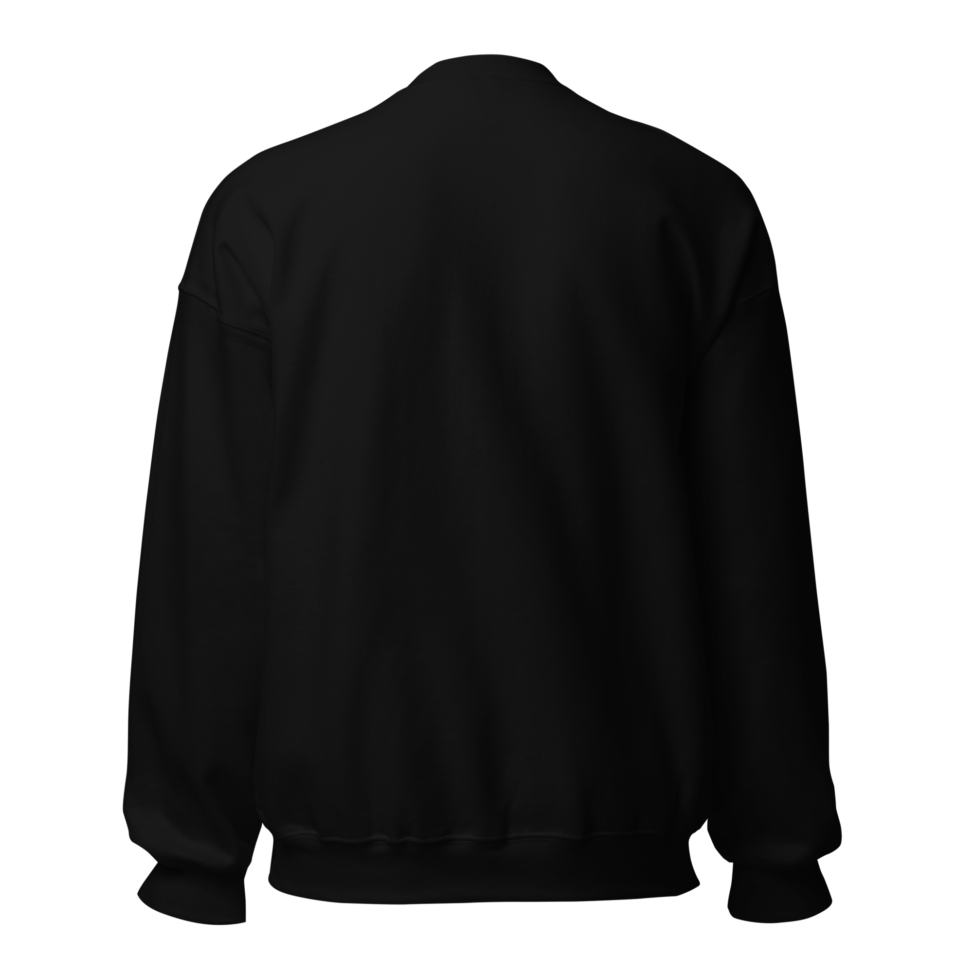 unisex-crew-neck-sweatshirt-black-back-6a35f2c3f336d.png