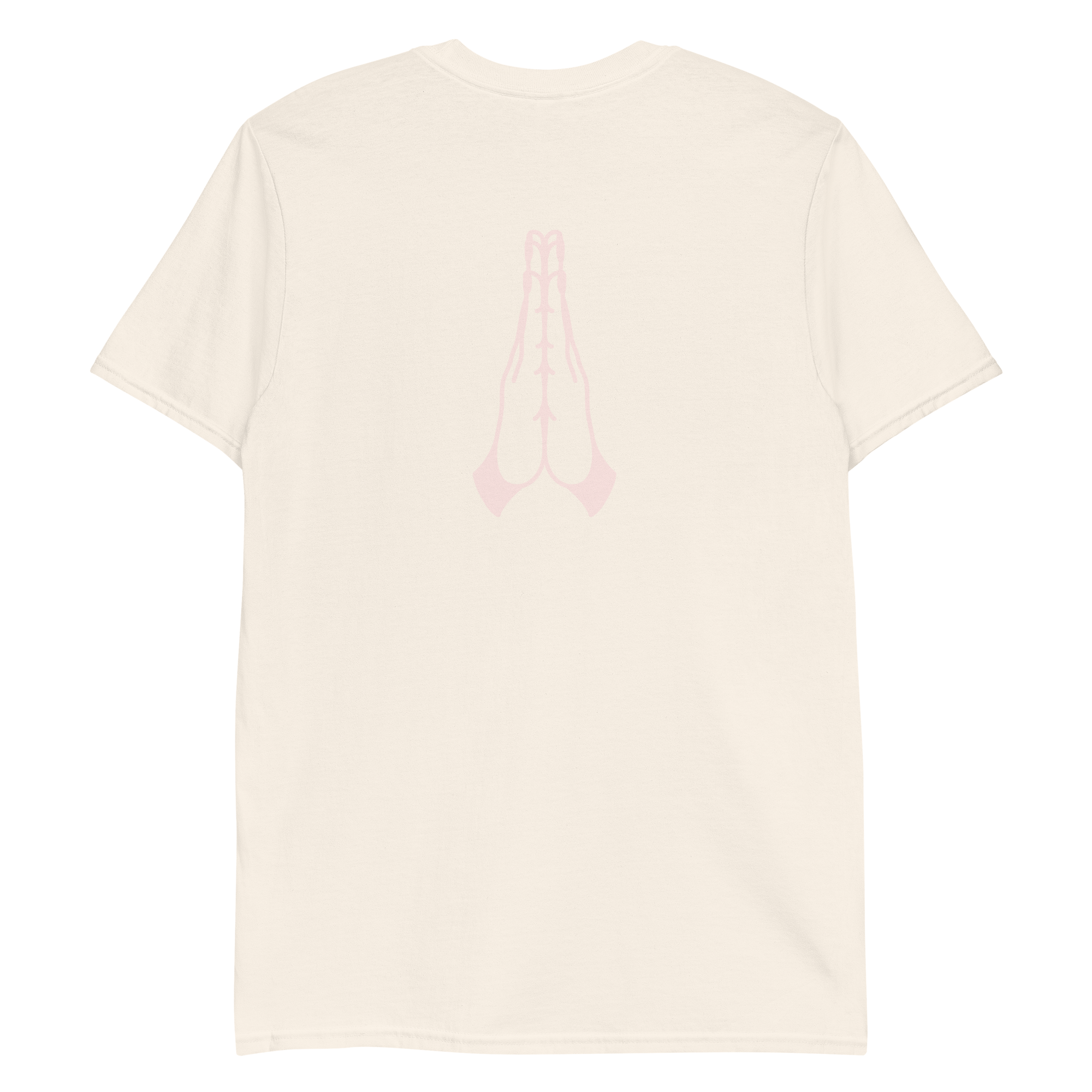 unisex-basic-softstyle-t-shirt-natural-back-6a5ef853dea32.png