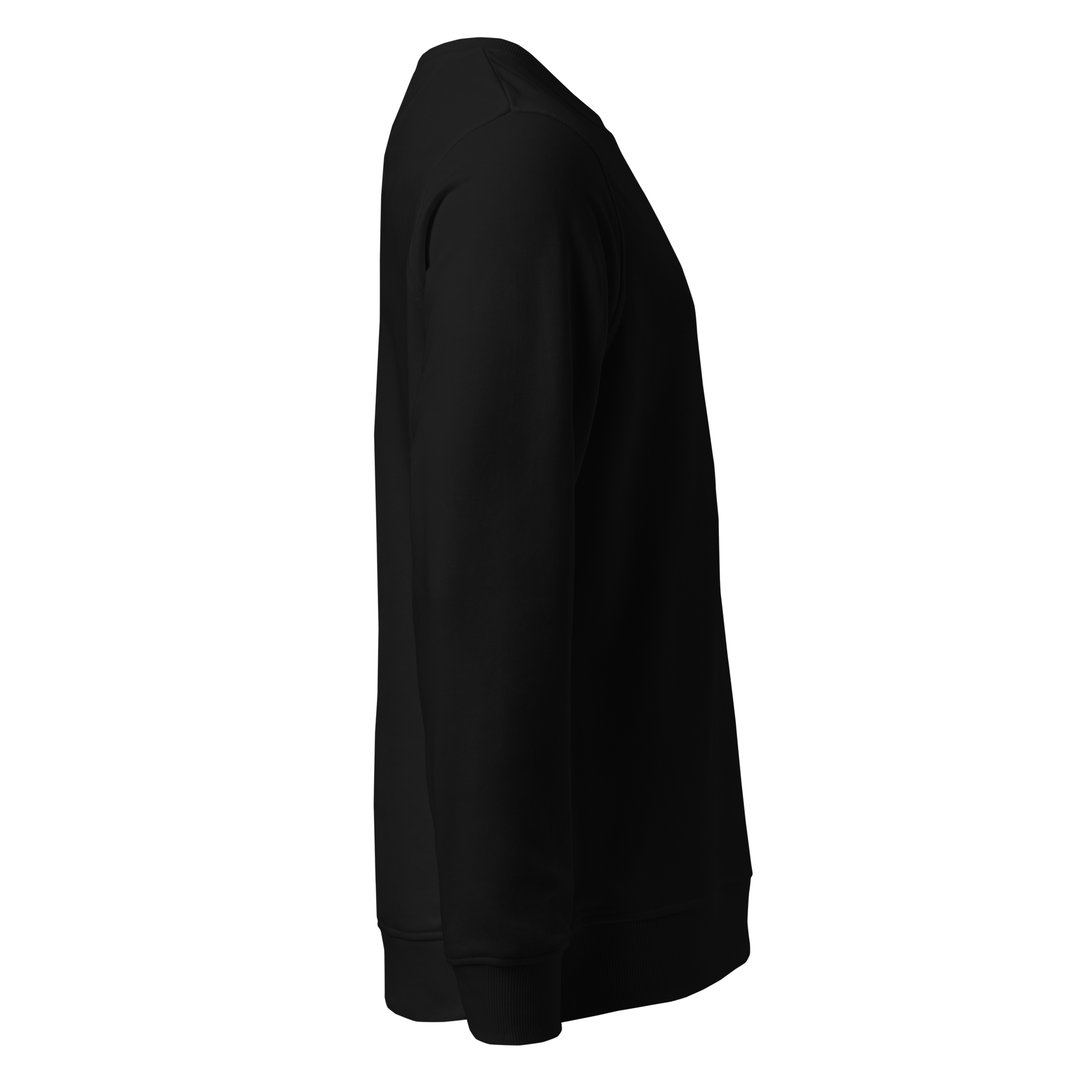 unisex-organic-sweatshirt-black-right-6a5f087ee9dcf.png