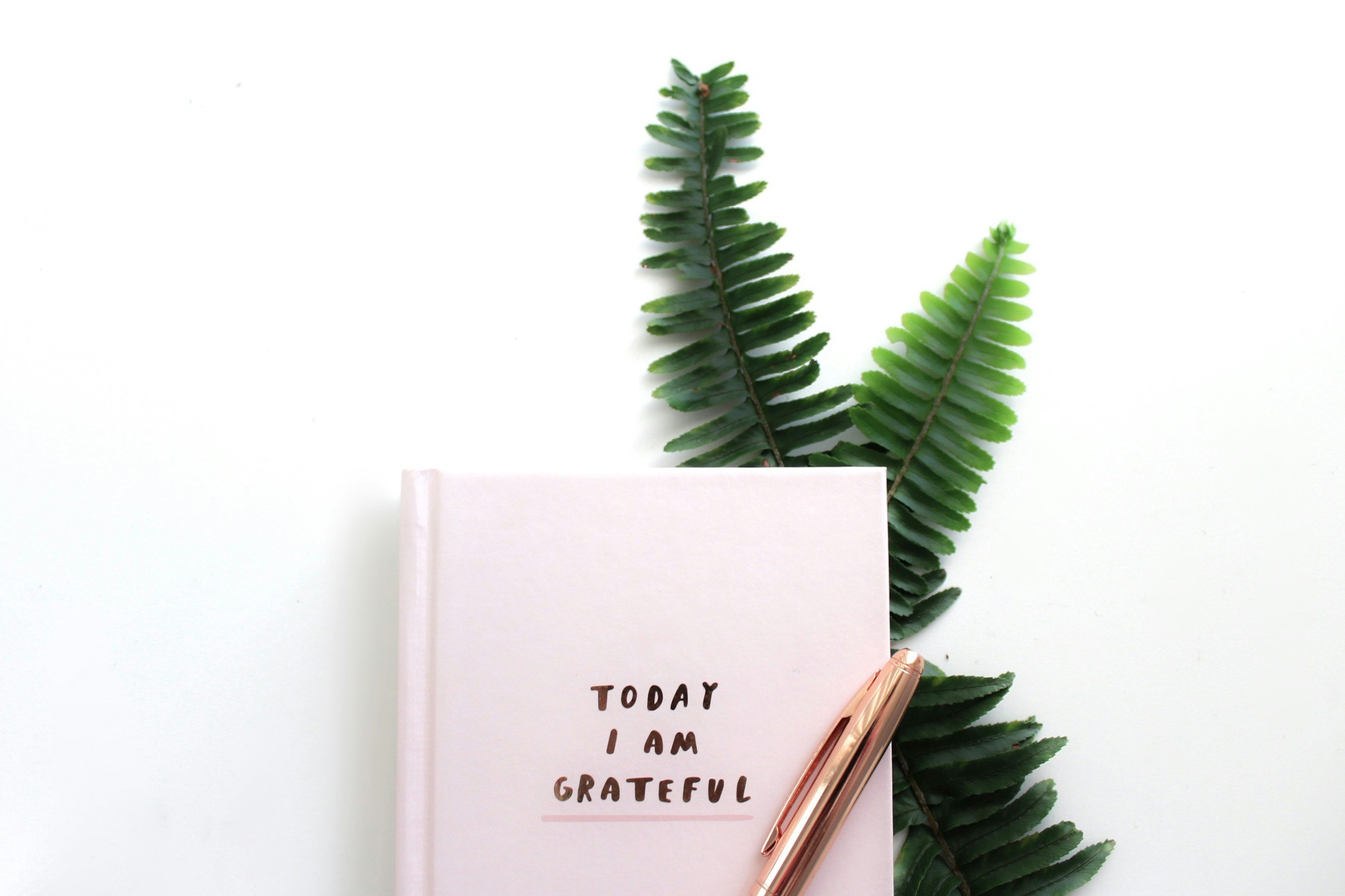Pink journal with the words Today I Am Grateful on the cover