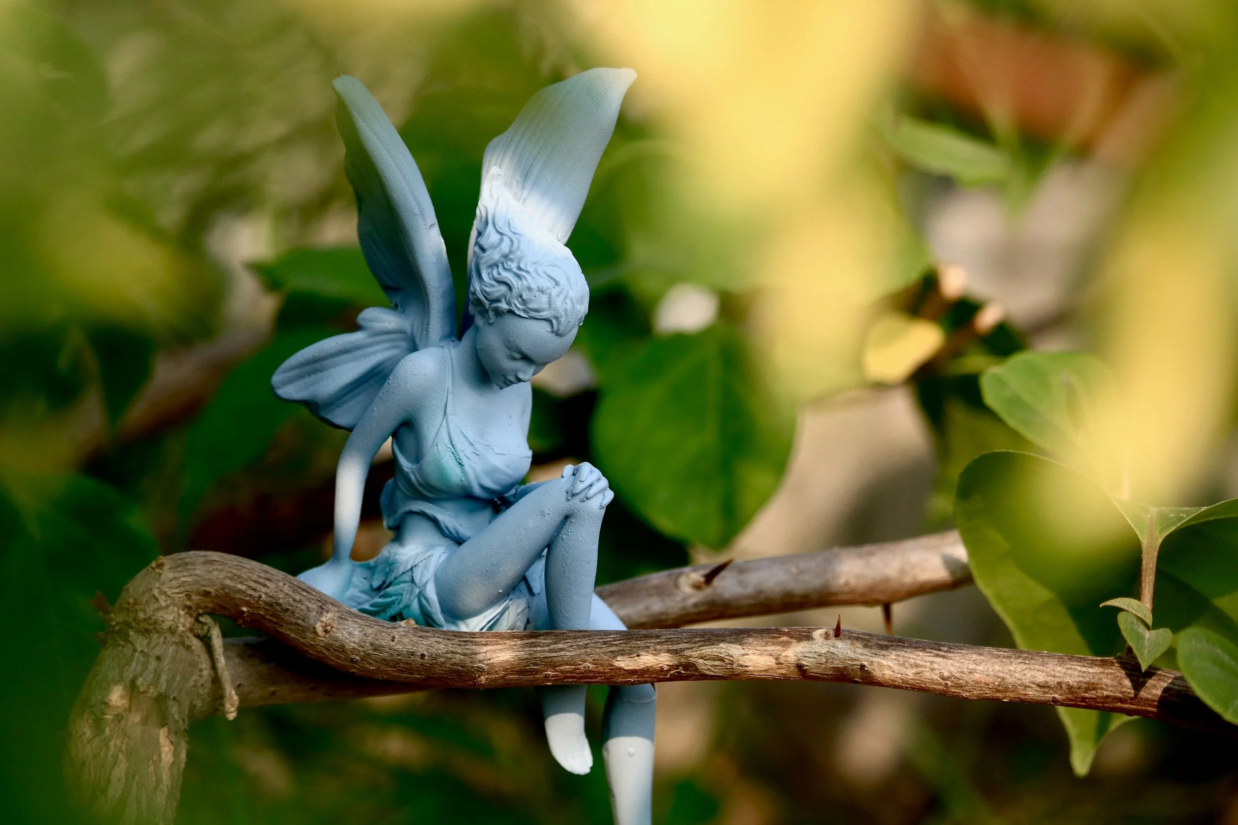 Diary Entry of Willow Whisperpetal, the Green Faeiry