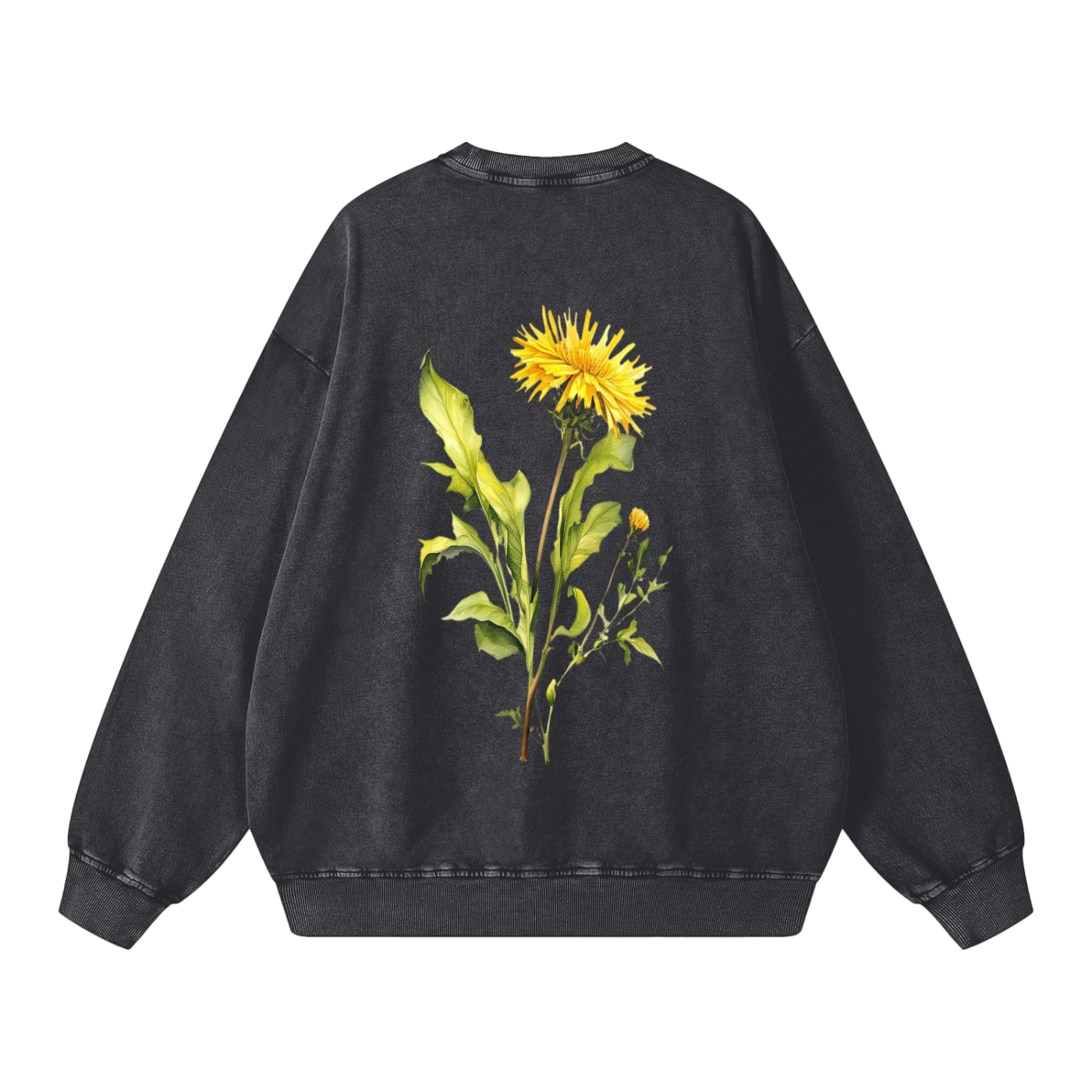 squarespace-upload-temp-2026-08-28-4b61c343-b303-47d3-94eb-36ee1f7782b18437358665238071160.png