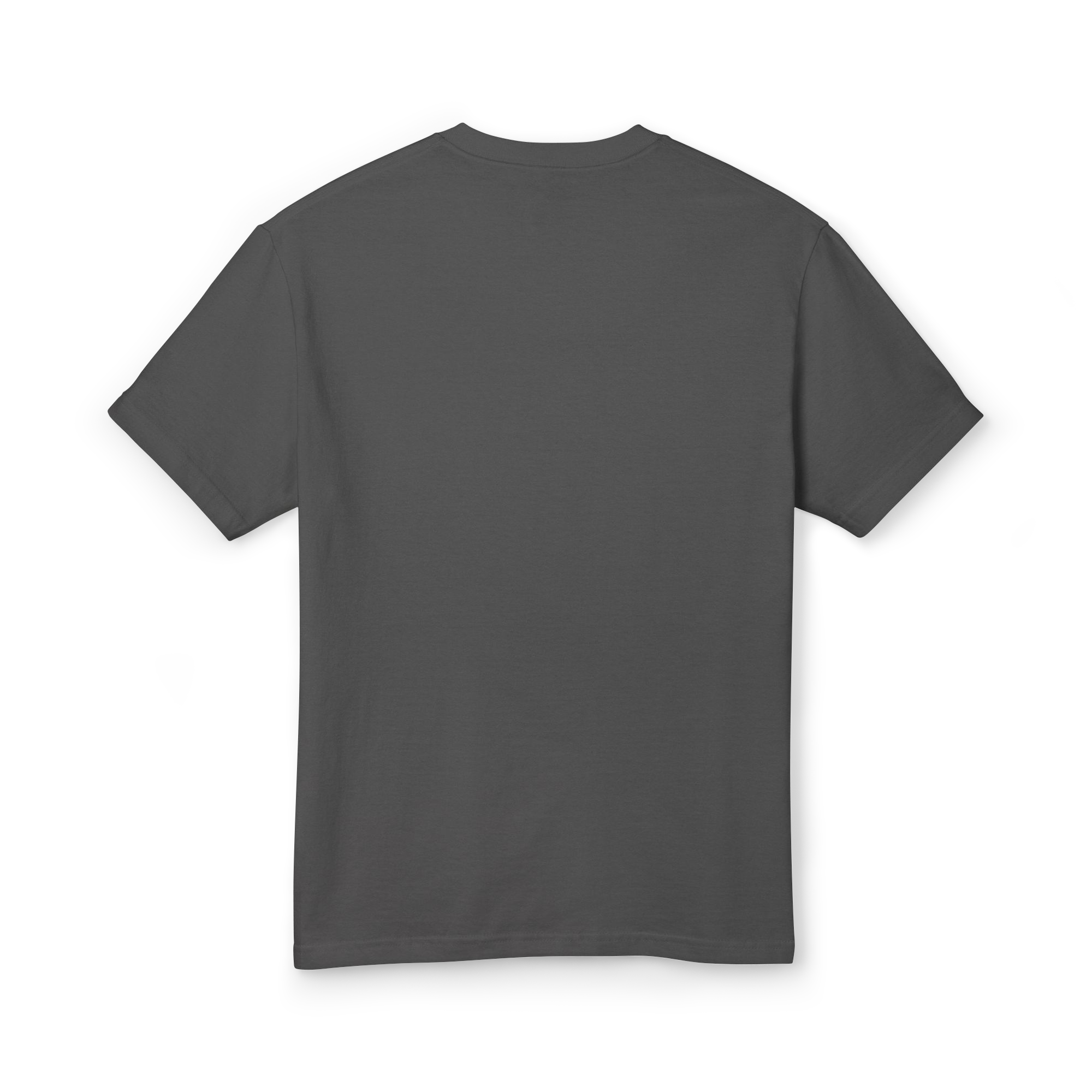 unisex-garment-dyed-heavyweight-cotton-tee-faded-black-back-6a9a0a57a4ab7.png