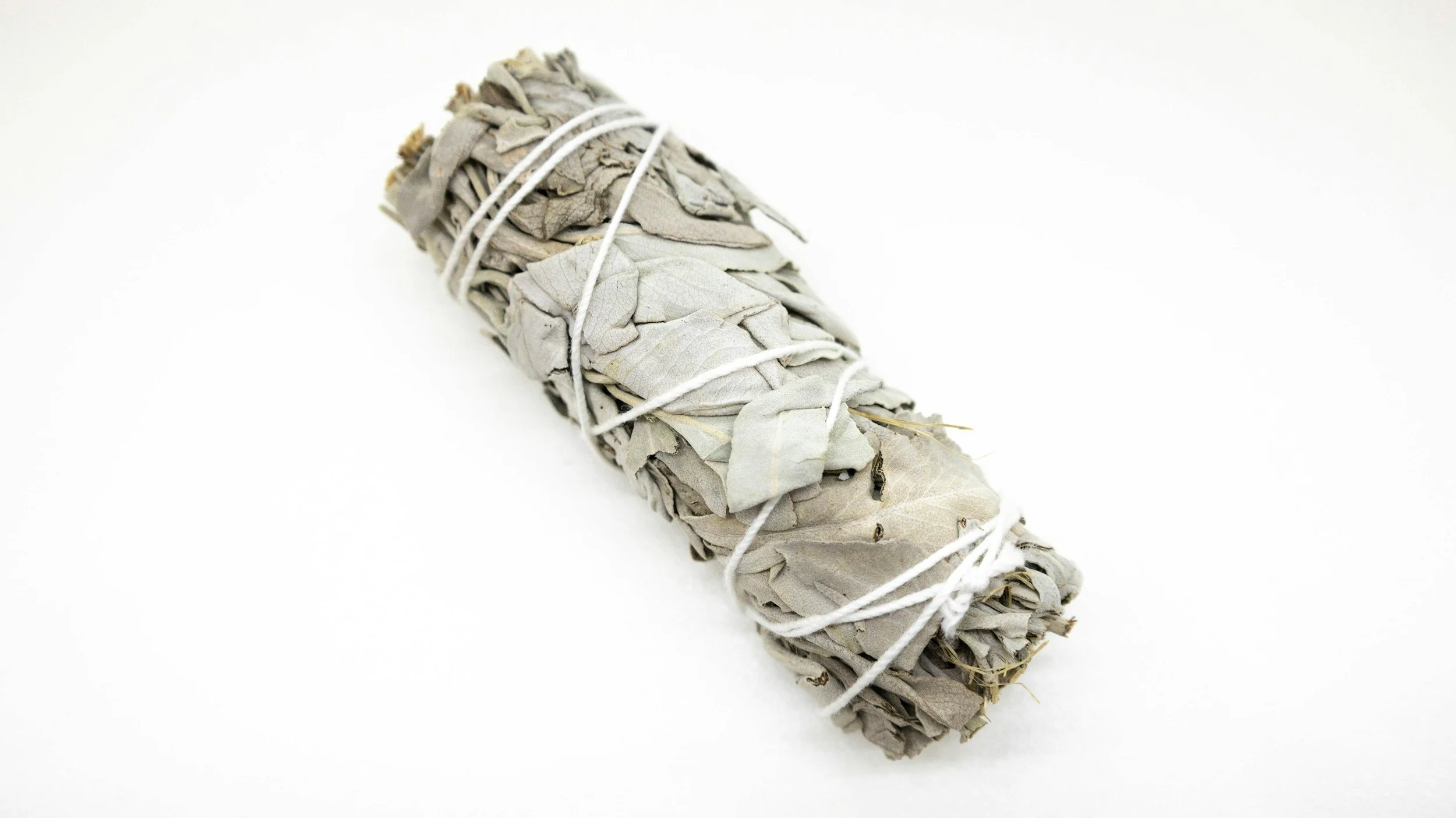 A bundle of sage leaves wrapped with white string on a white background.