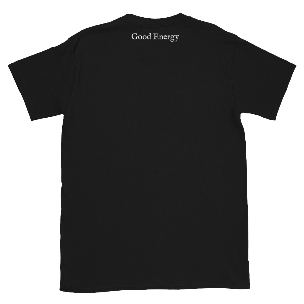 unisex-basic-softstyle-t-shirt-black-back-6ae3e5f8369f9.png