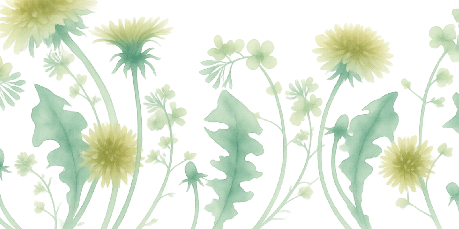 Watercolor illustration of white and yellow dandelions with green leaves and stems.