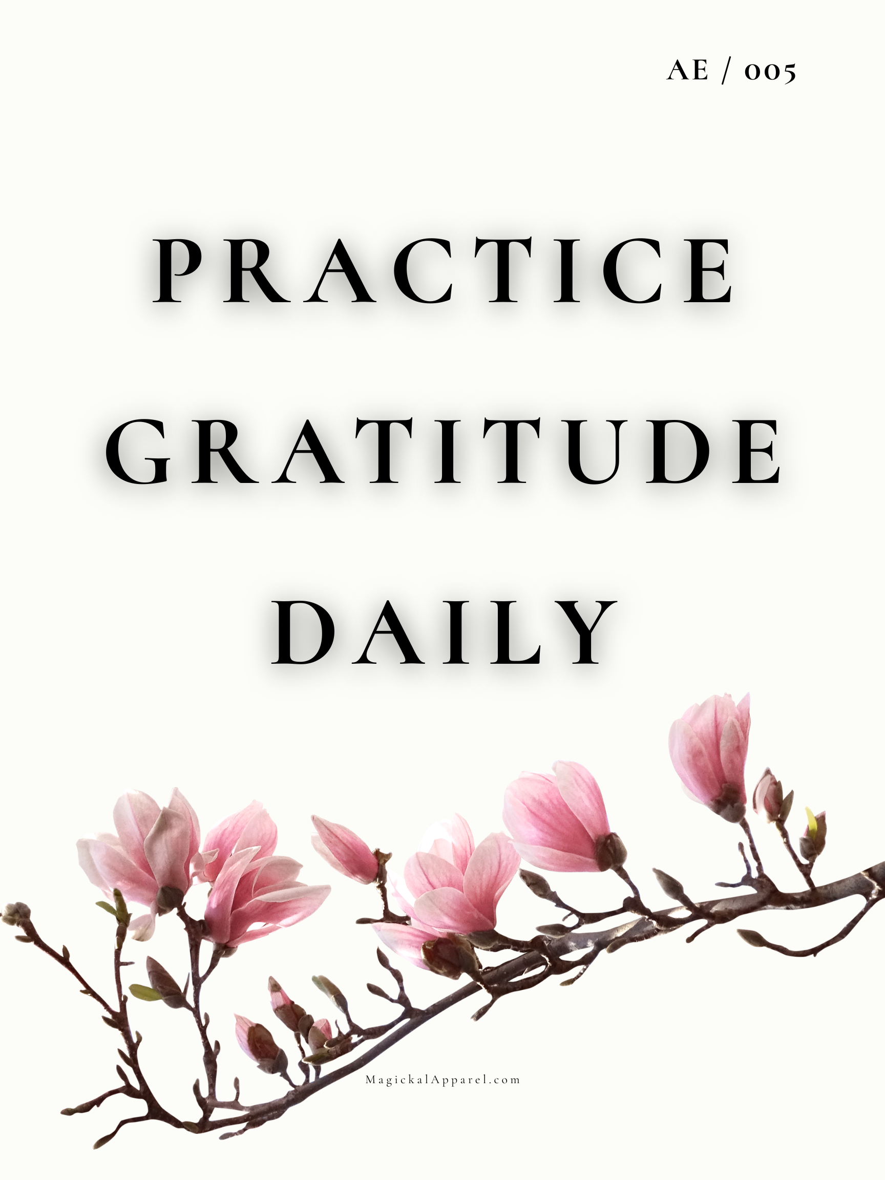 A white background with pink magnolia flowers at the bottom. Text in the middle reads 'Practice Gratitude Daily' and in the top right corner reads 'AE / 005'.