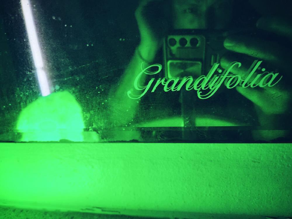 BREAKING FOLIAGE NEWS

After a long winter of hibernation (and definitely not just eating snacks, watching Seinfeld reruns, and staring at our instruments)&hellip; Grandifolia is BACK

And guess what? We&rsquo;re playing our first shows of the year a