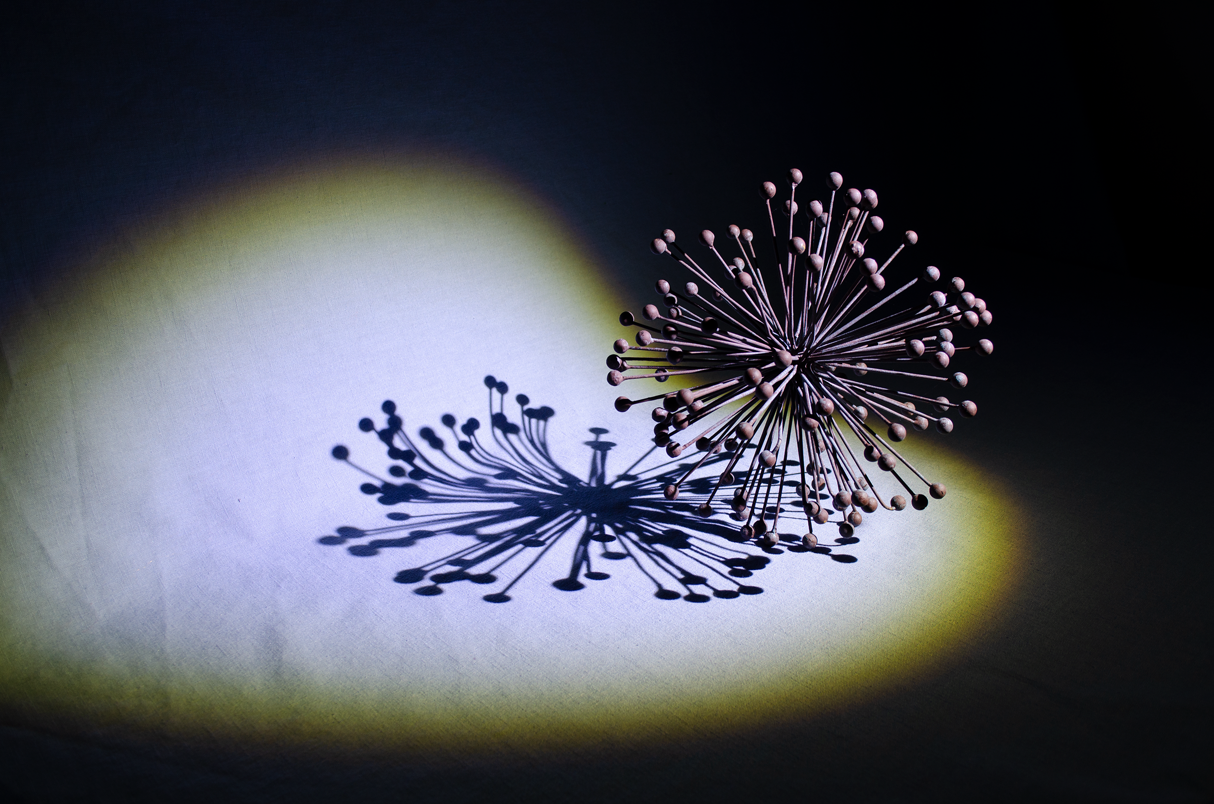 _DSC0068.png