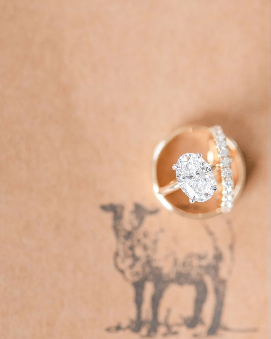 Engagement season is about more than the ring.
It&rsquo;s about imagining how your love will be felt. By you, and by everyone who witnesses it.

We design weddings that reflect your story, whether that means a quiet ceremony, a destination weekend, o