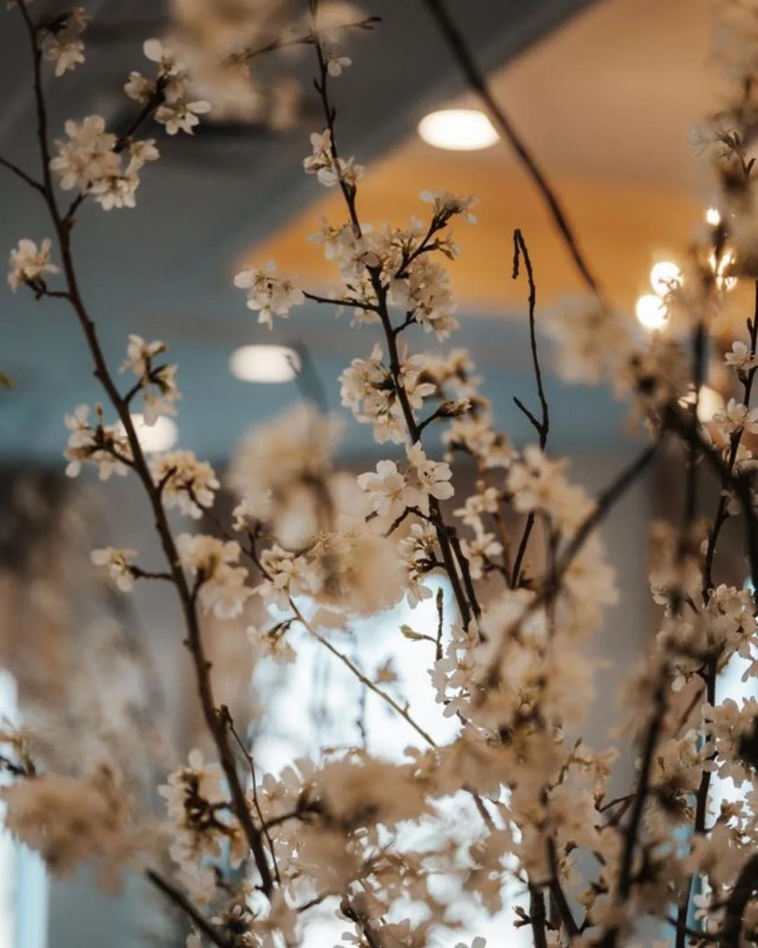 I&rsquo;ve always believed the most meaningful design choices don&rsquo;t always start with trends, they begin with something felt.

A moment in nature.
A season that lingers with you.
A branch in bloom that somehow says everything without trying. 🌸