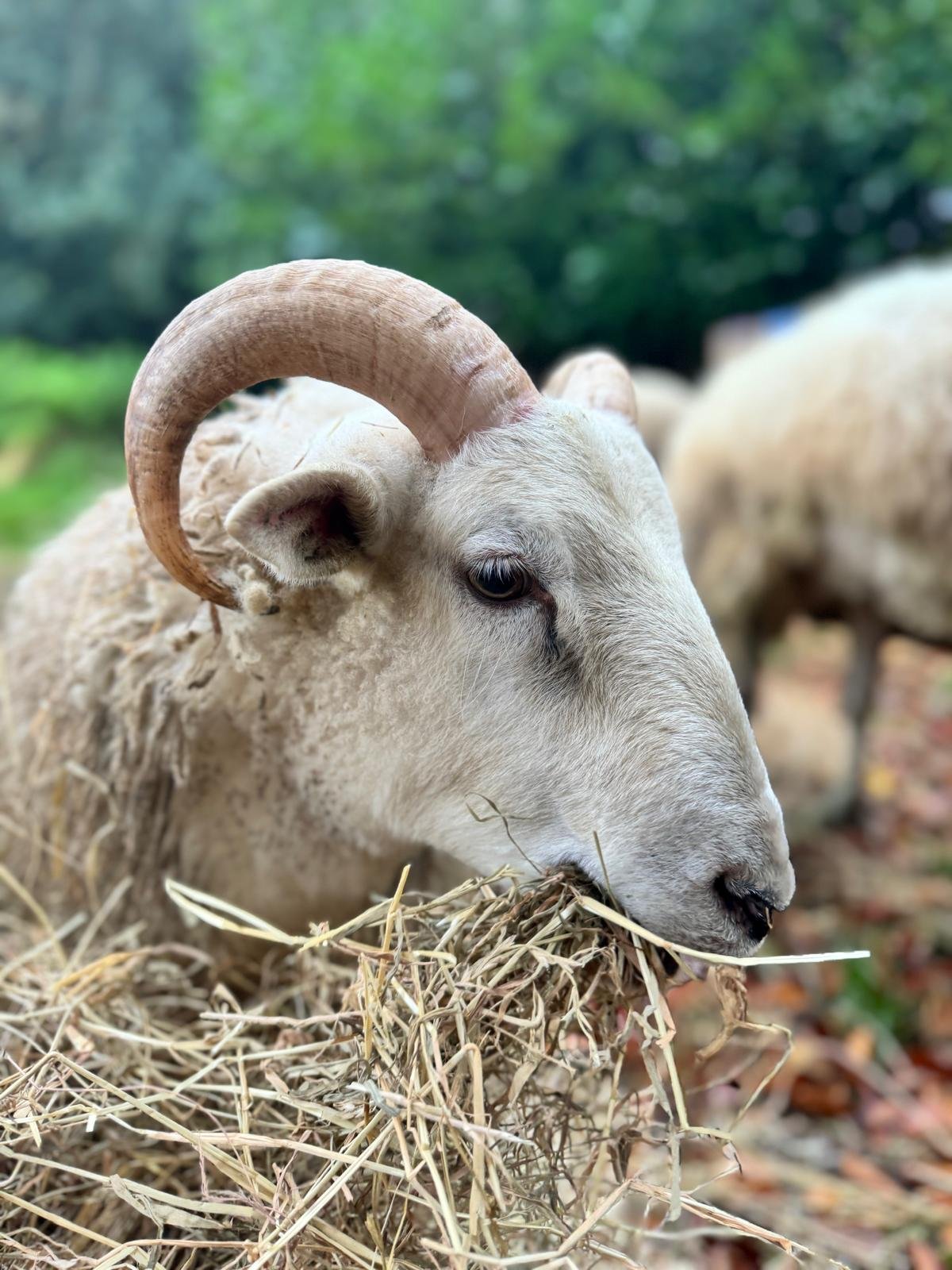 WhatsApp Image 2025-12-22 at 16.54.25_9c5a4e1a.jpg