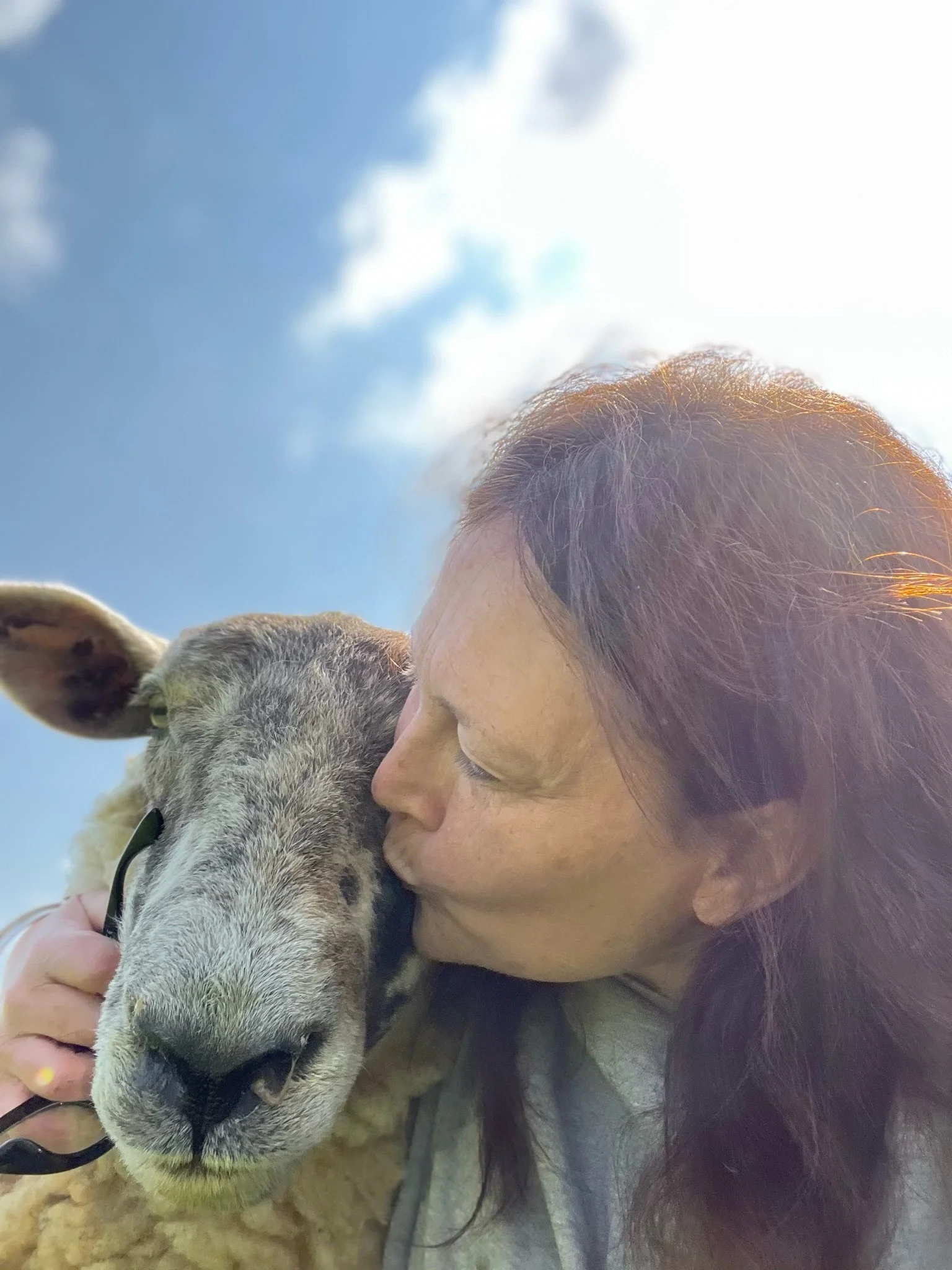 Person kissing a sheep outdoors on a sunny day.