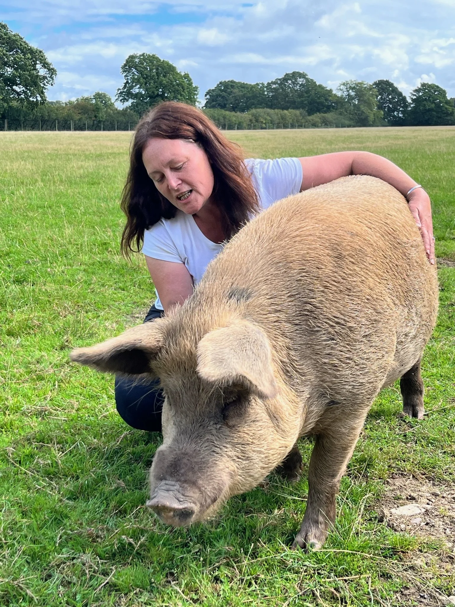 Woman petting a large pig in a grassy field
