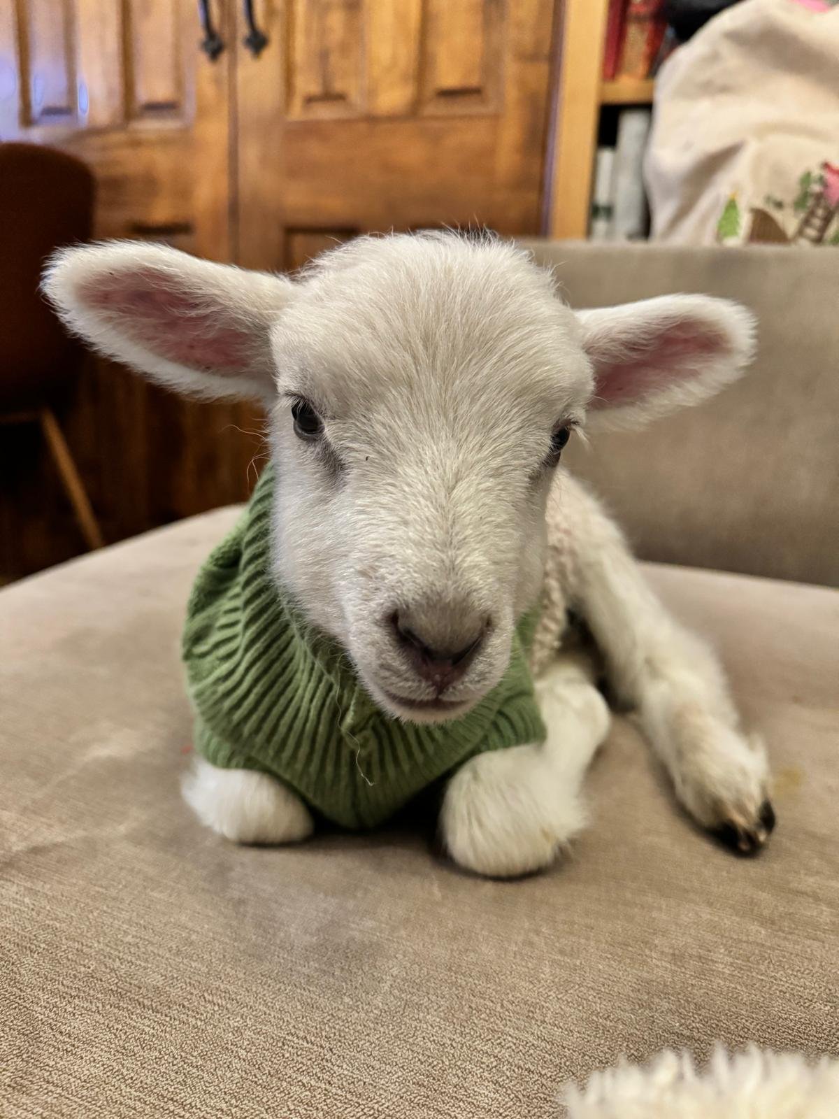 WhatsApp Image 2025-12-22 at 16.47.16_0d99b2d3.jpg