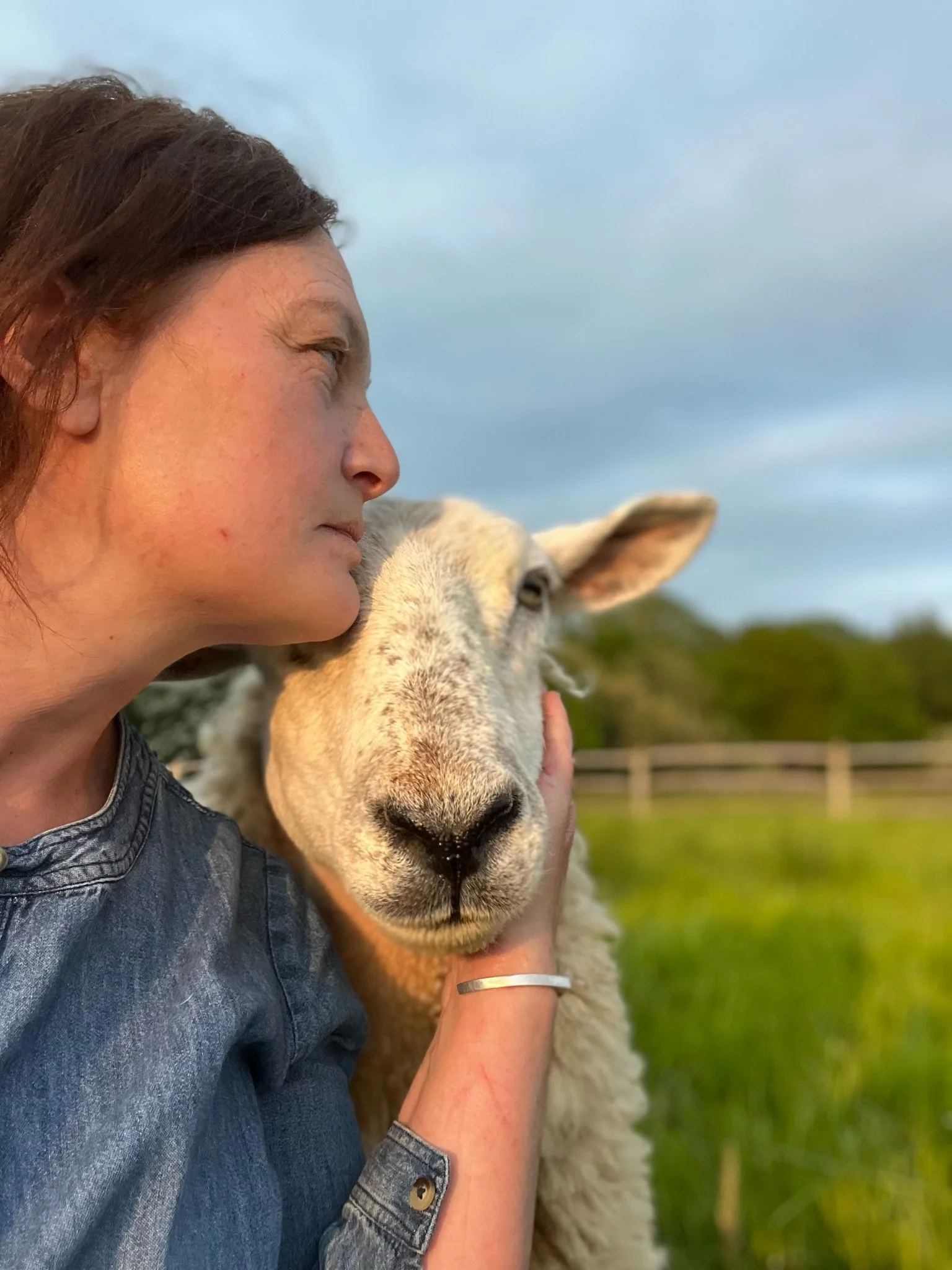 A person gently holding the head of a sheep in a green pasture.