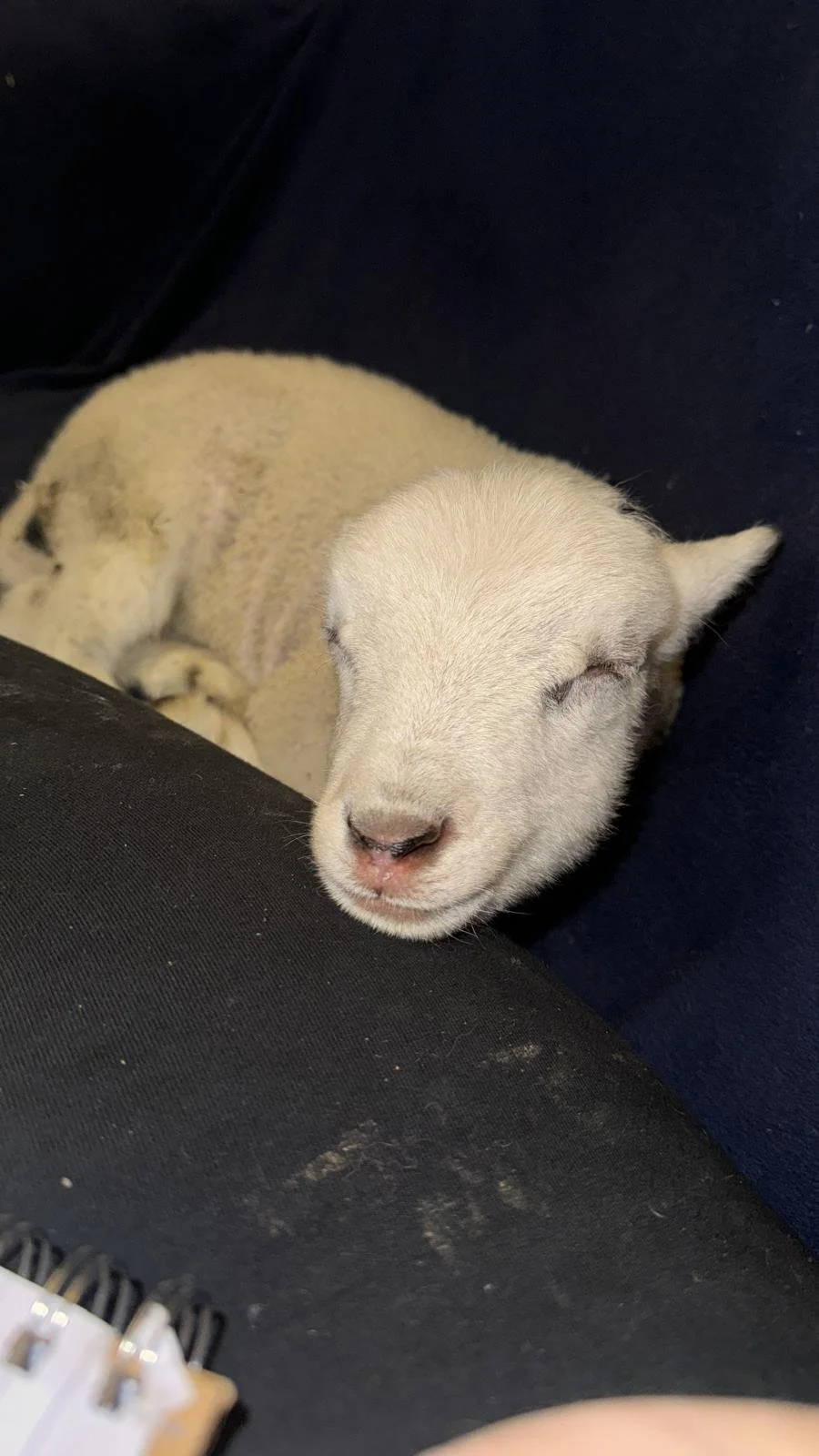 WhatsApp Image 2025-12-22 at 16.47.56_39606dd9.jpg