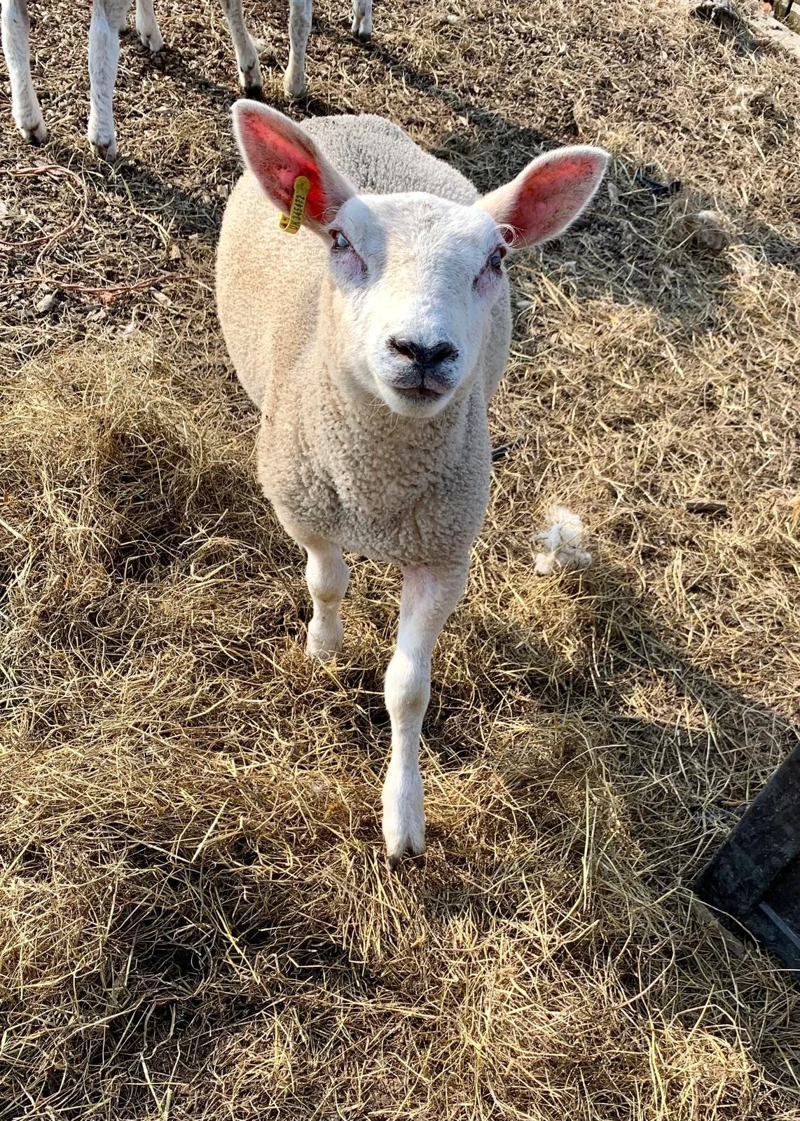 WhatsApp Image 2025-12-24 at 12.32.21_0c43376b.jpg