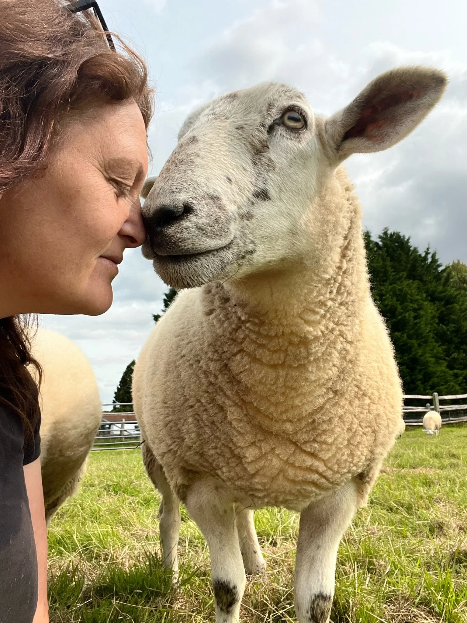Woman touching nose with a sheep in a grassy field, with other sheep in the background and a cloudy sky.