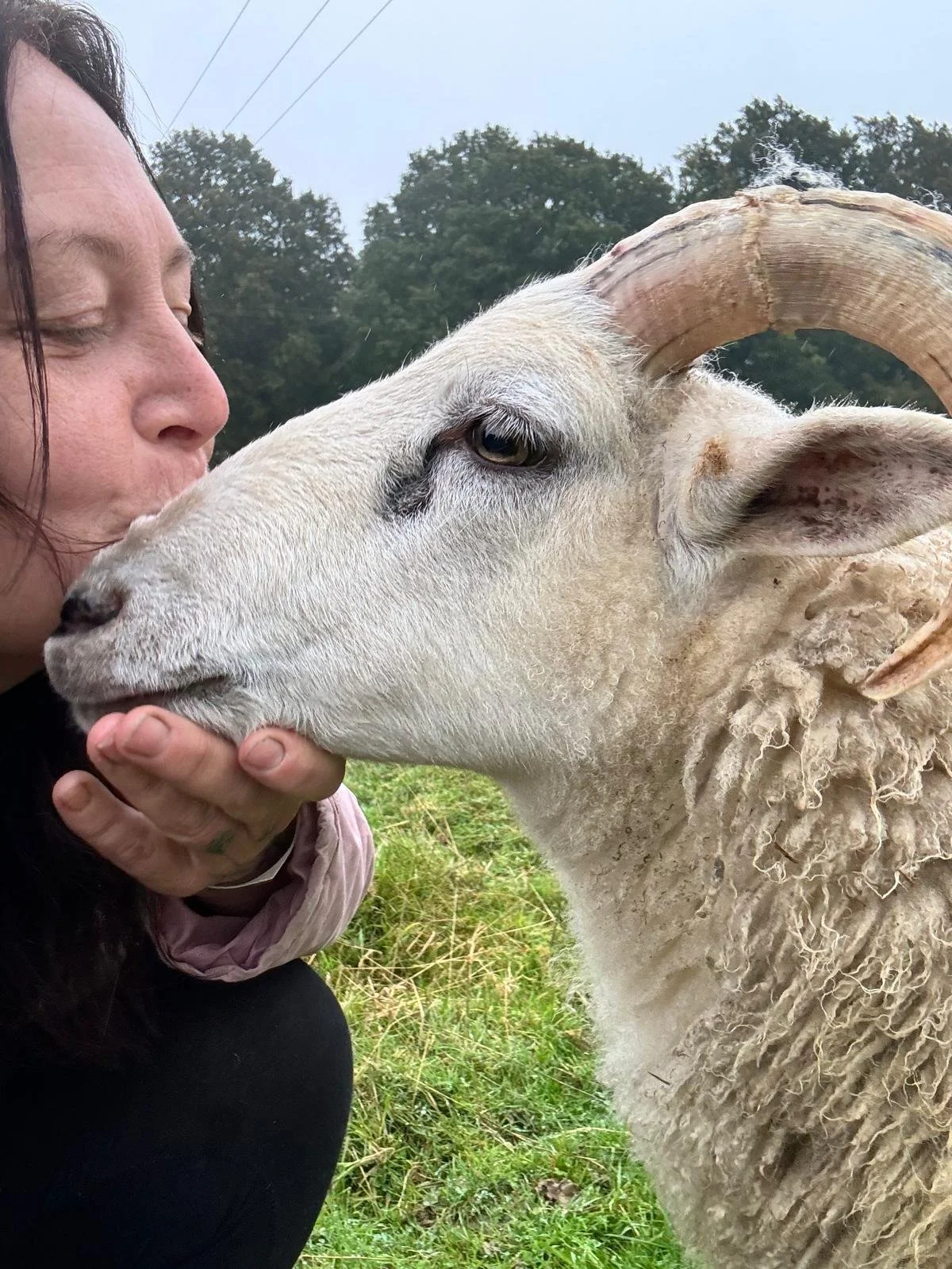 WhatsApp Image 2025-12-22 at 16.52.54_661bc87e.jpg