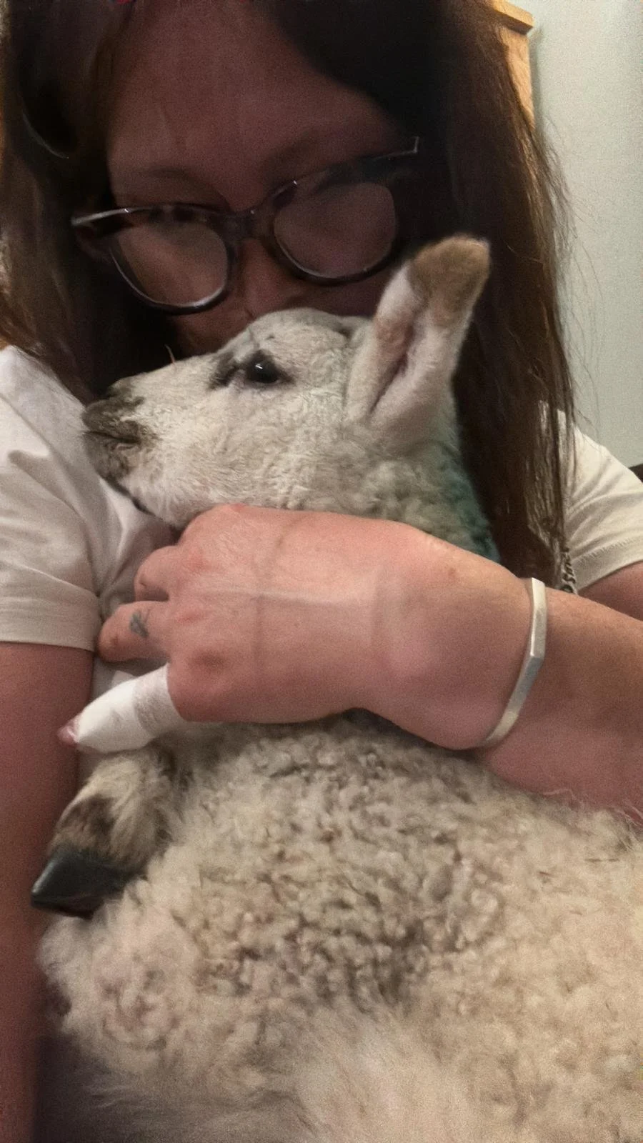 A woman with glasses hugging a fluffy light-colored sheep.