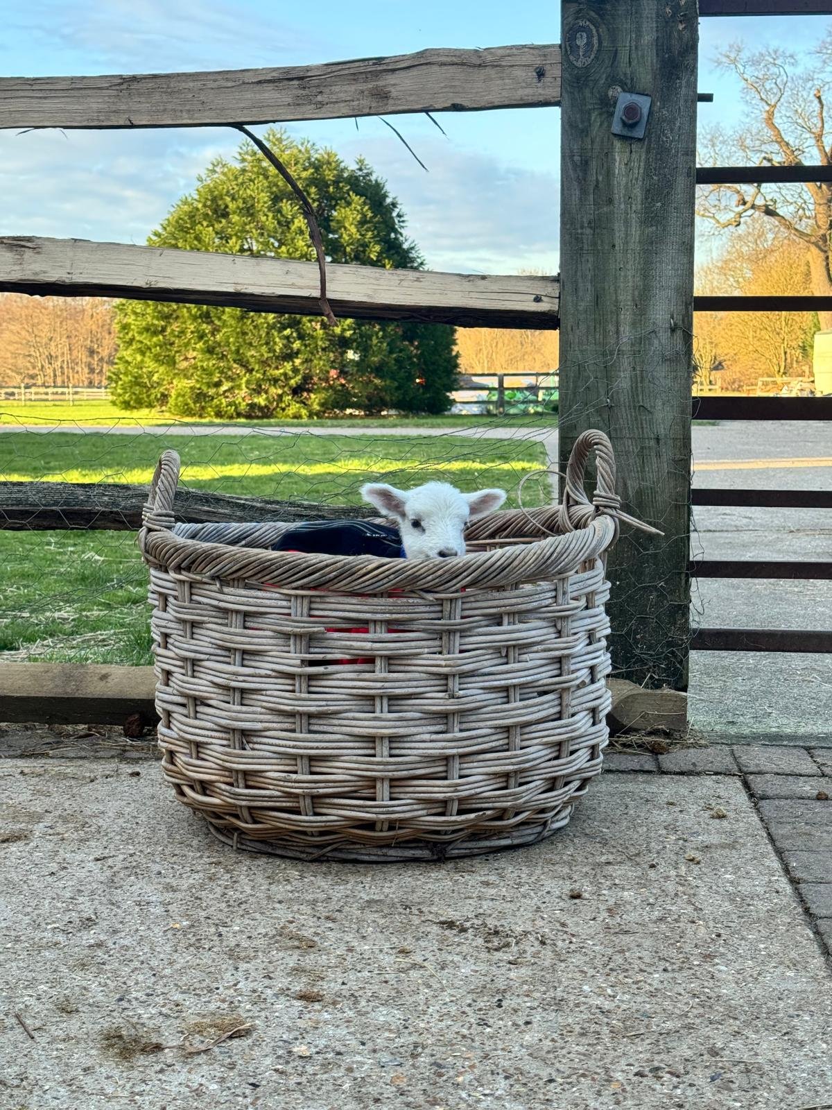 WhatsApp Image 2025-12-22 at 16.46.48_3548aa02.jpg