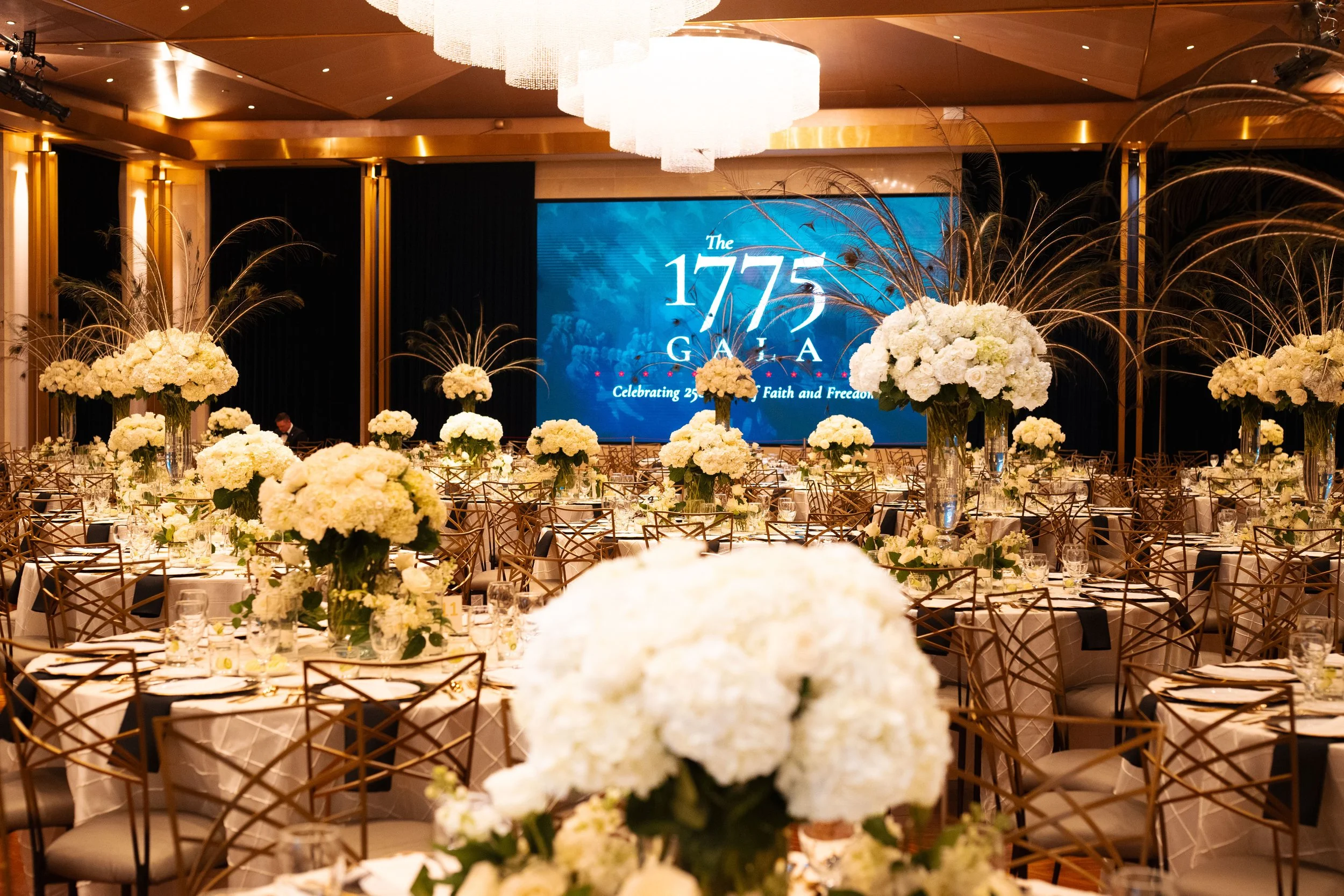 VIP EVENT - GALA 1775-128.jpg