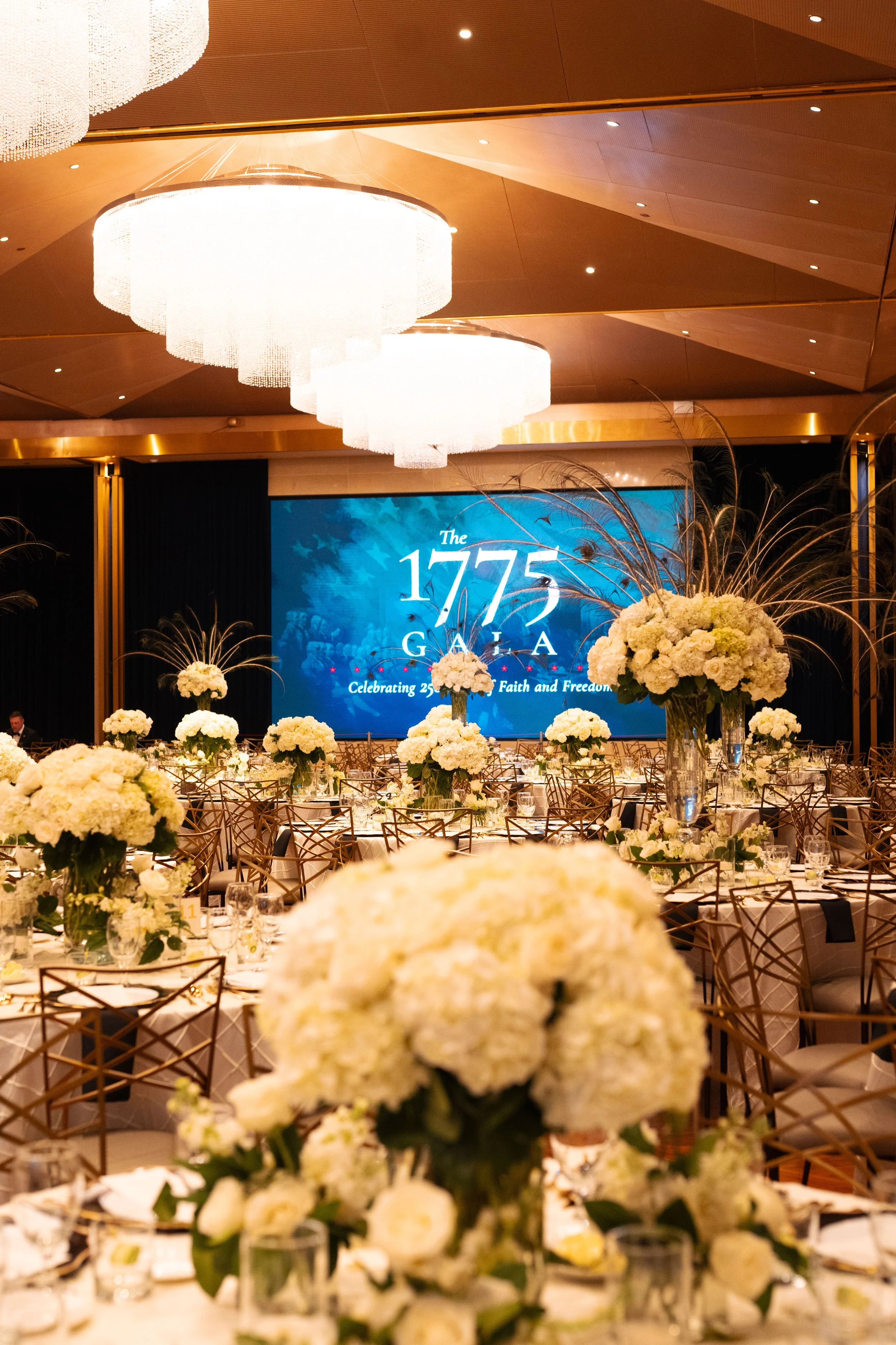 VIP EVENT - GALA 1775-129.jpg