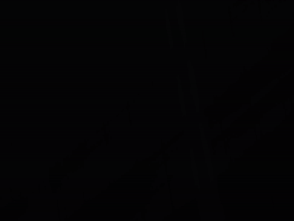bloom-clip-0m00s-0m03s.gif