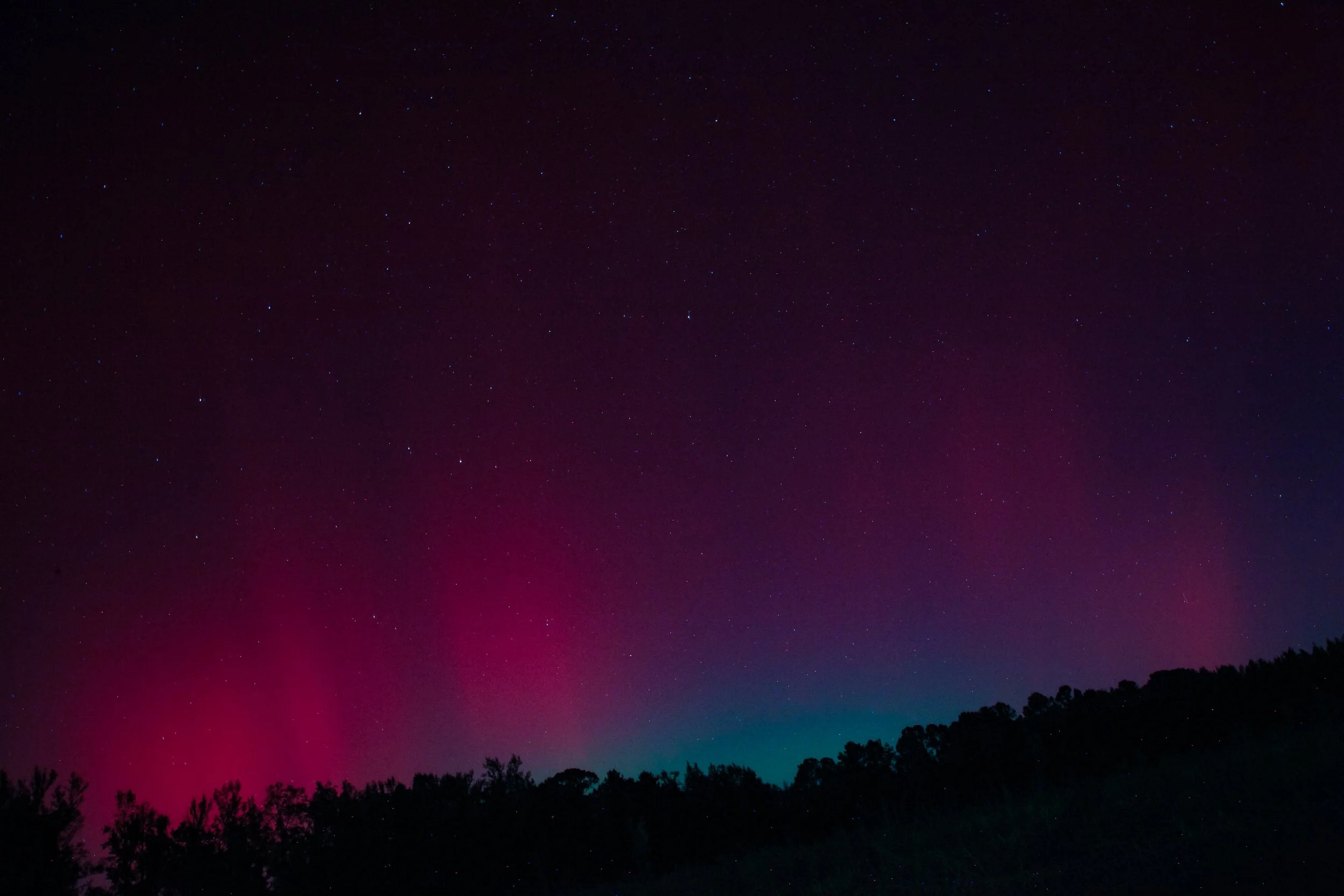 Northern Lights | Ehrhardt, SC | October 10, 2024