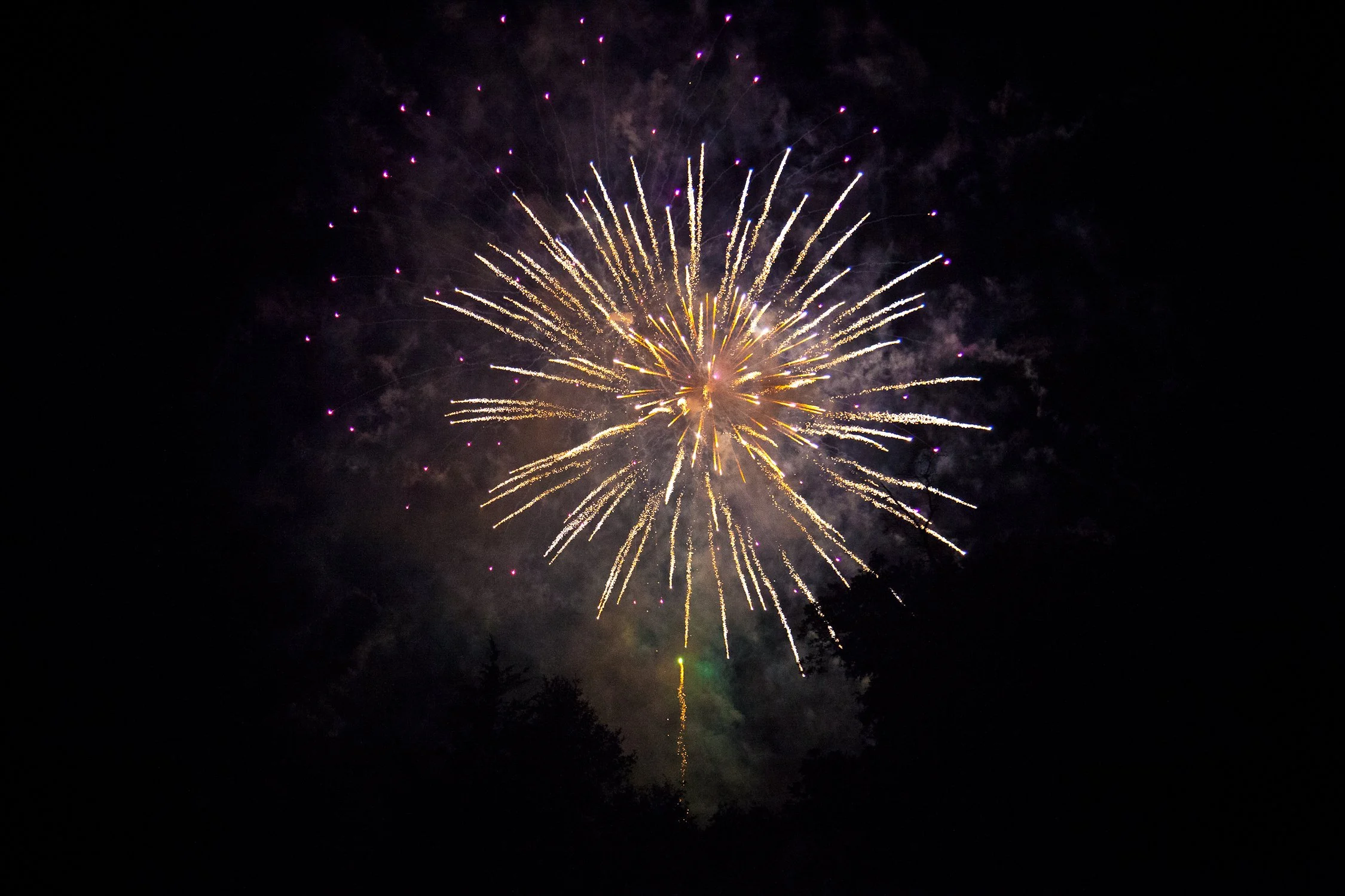 Fireworks | Bamberg, SC | July 4, 2016