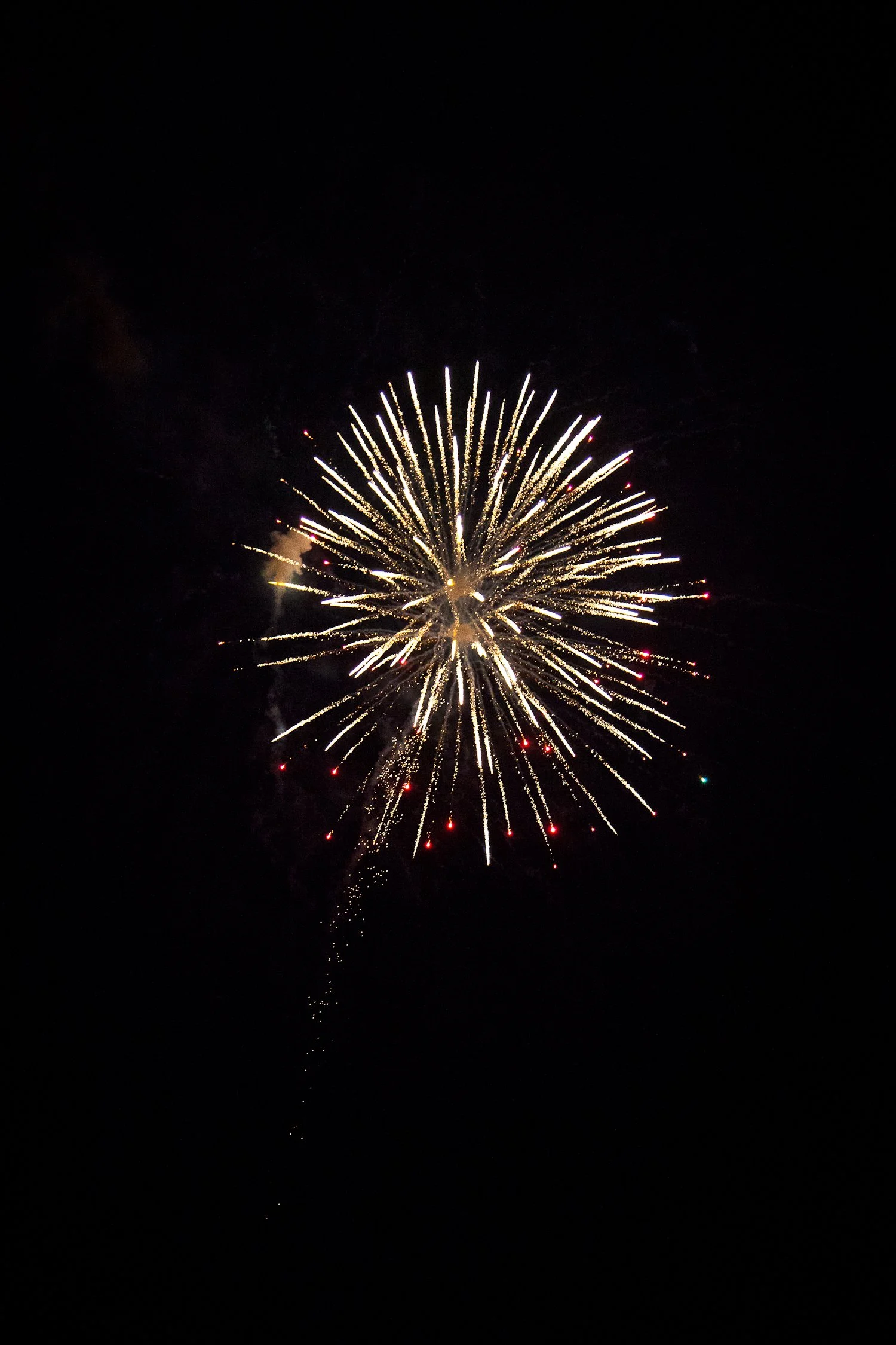 Fireworks | Bamberg, SC | July 4, 2016