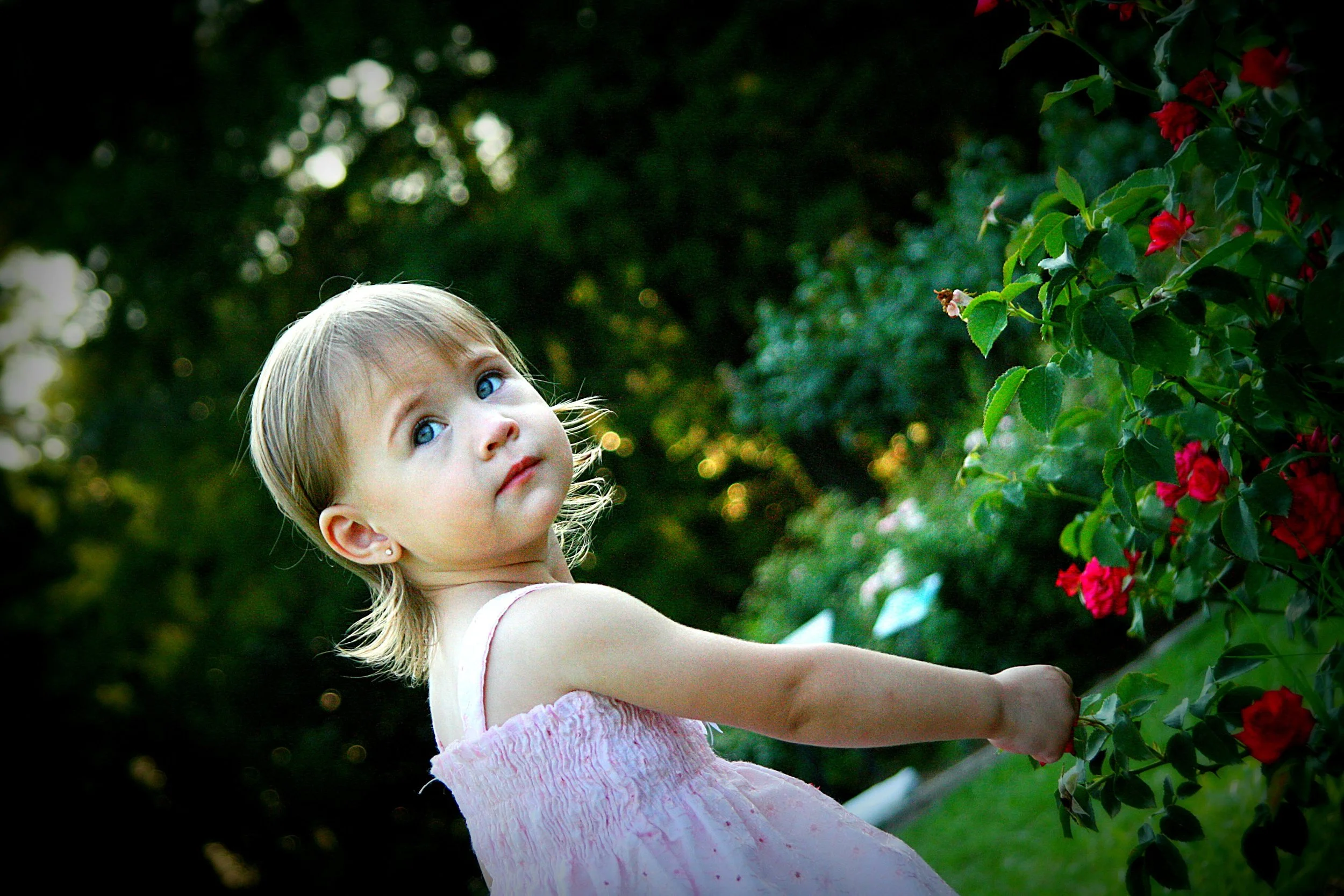 Edisto Memorial Gardens | Orangeburg, SC | June 9, 2010