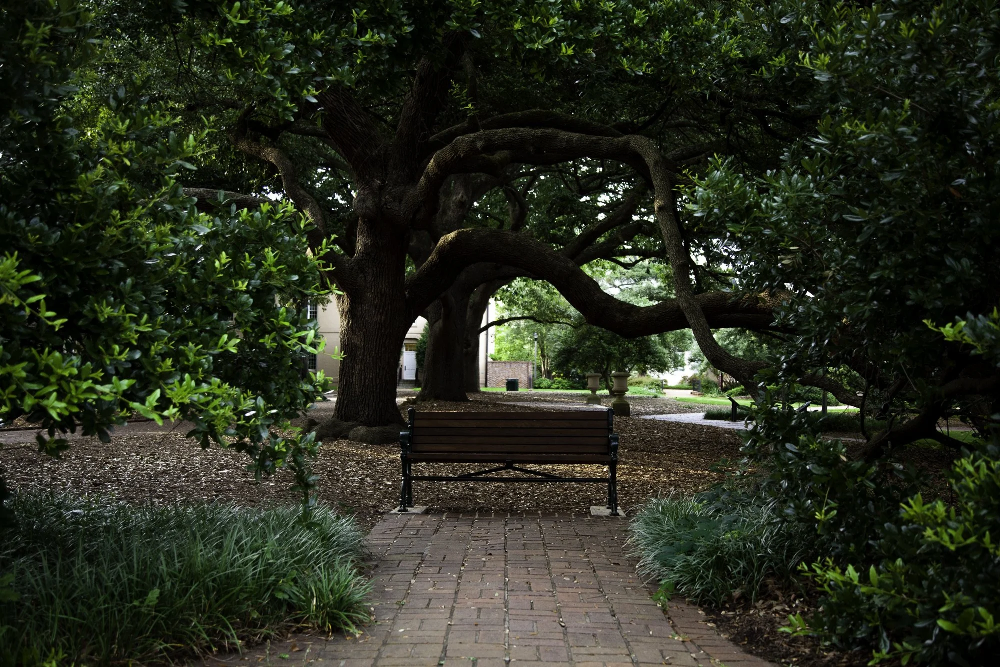 University of South Carolina | May 29, 2021