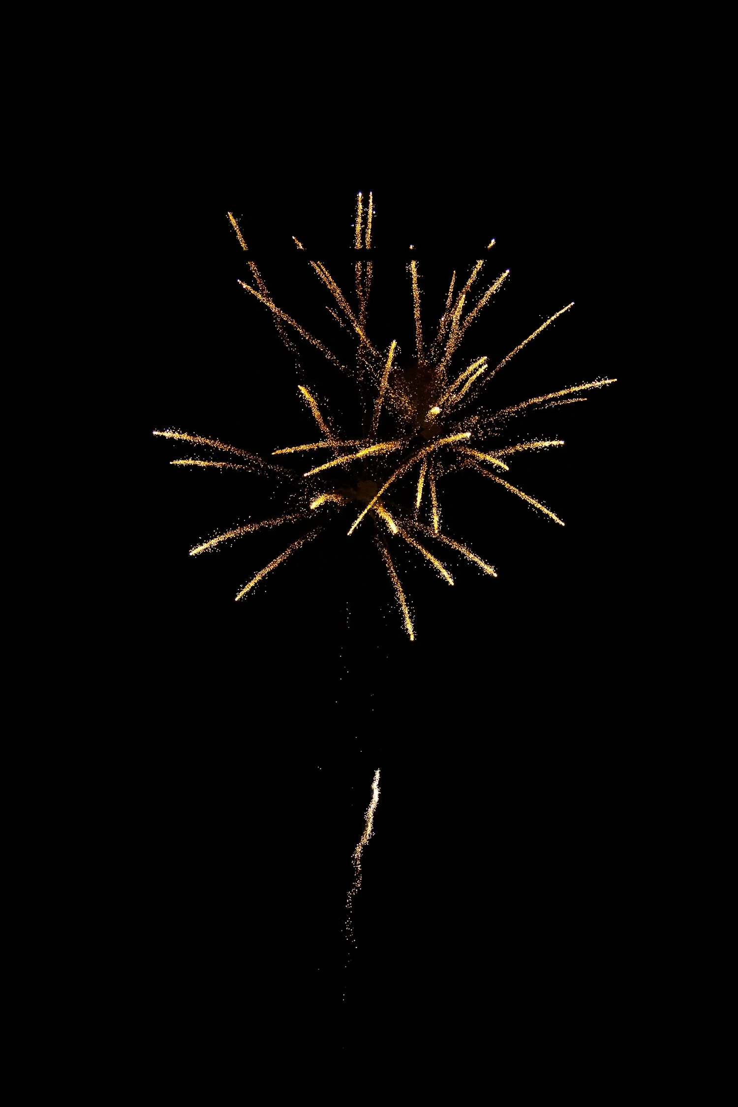 Fireworks | Bamberg, SC | July 4, 2016
