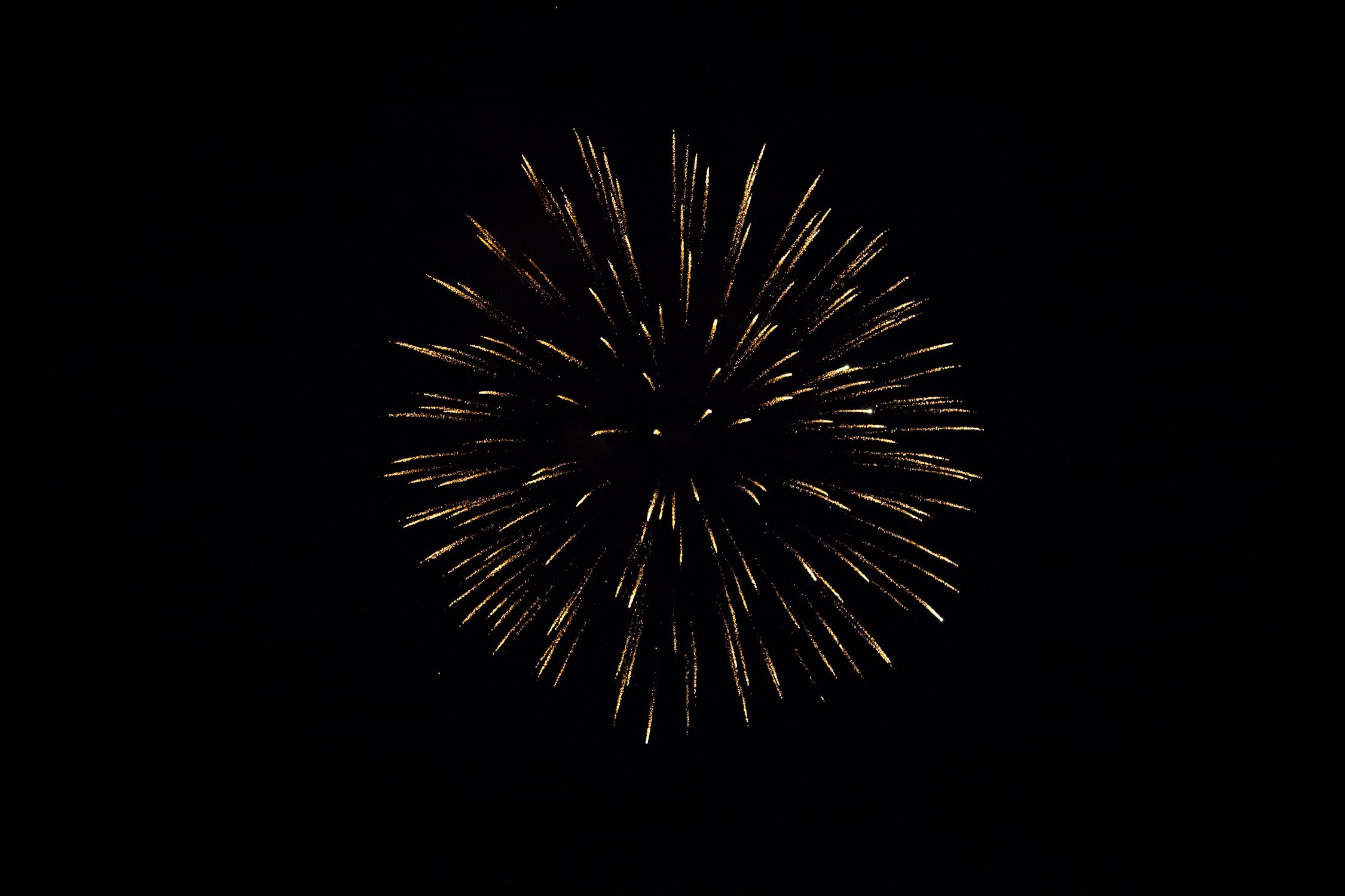 Fireworks | Bamberg, SC | July 4, 2016