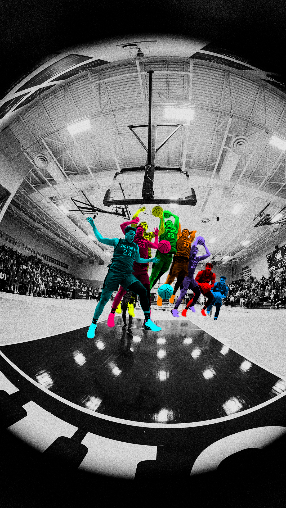 basketcollage12624.png