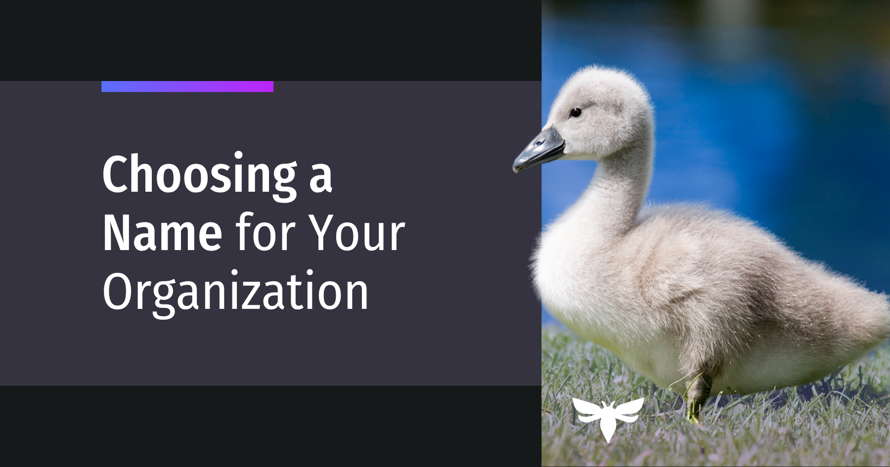 How to Name (or Rename) An Organization: A Practical Guide