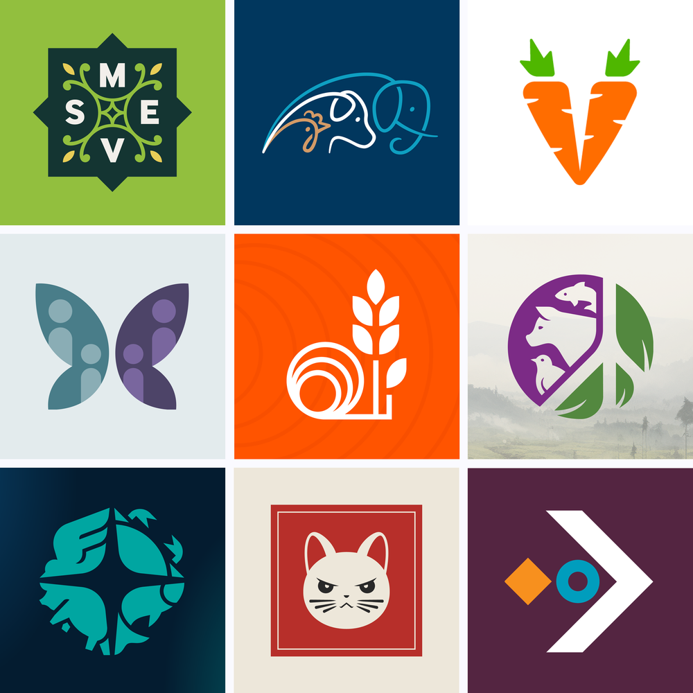 Services | Enhance Your Brand Today - Get Started — Violet Studios