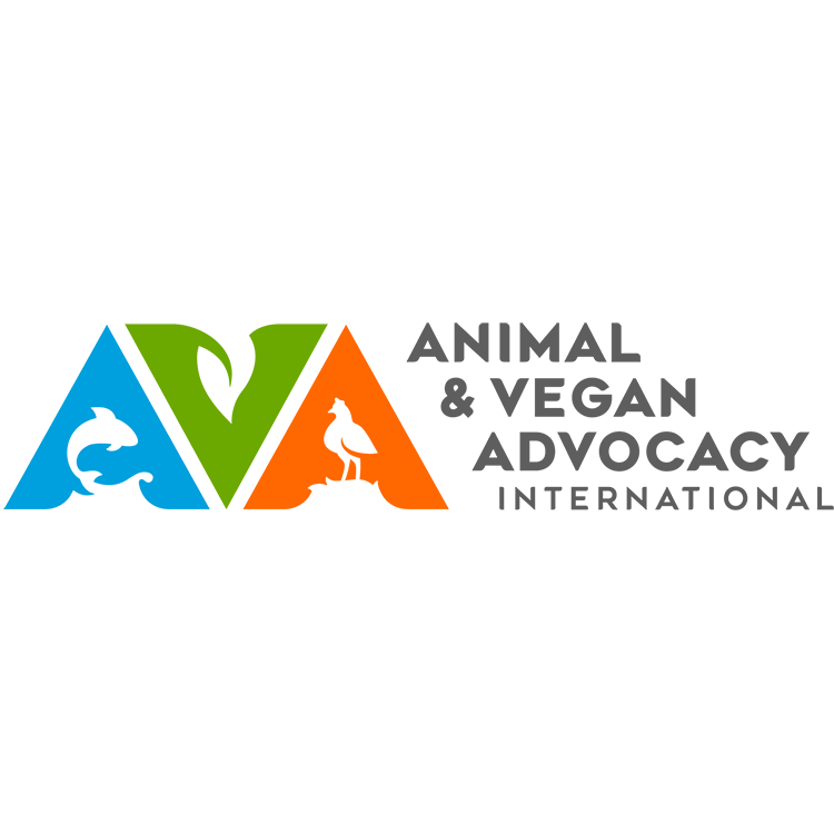 AVA International logo