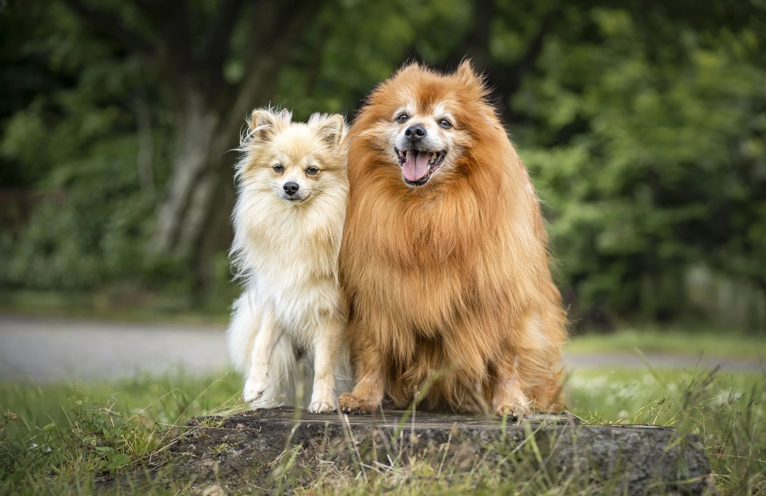 Sam & Penny Edit.jpg