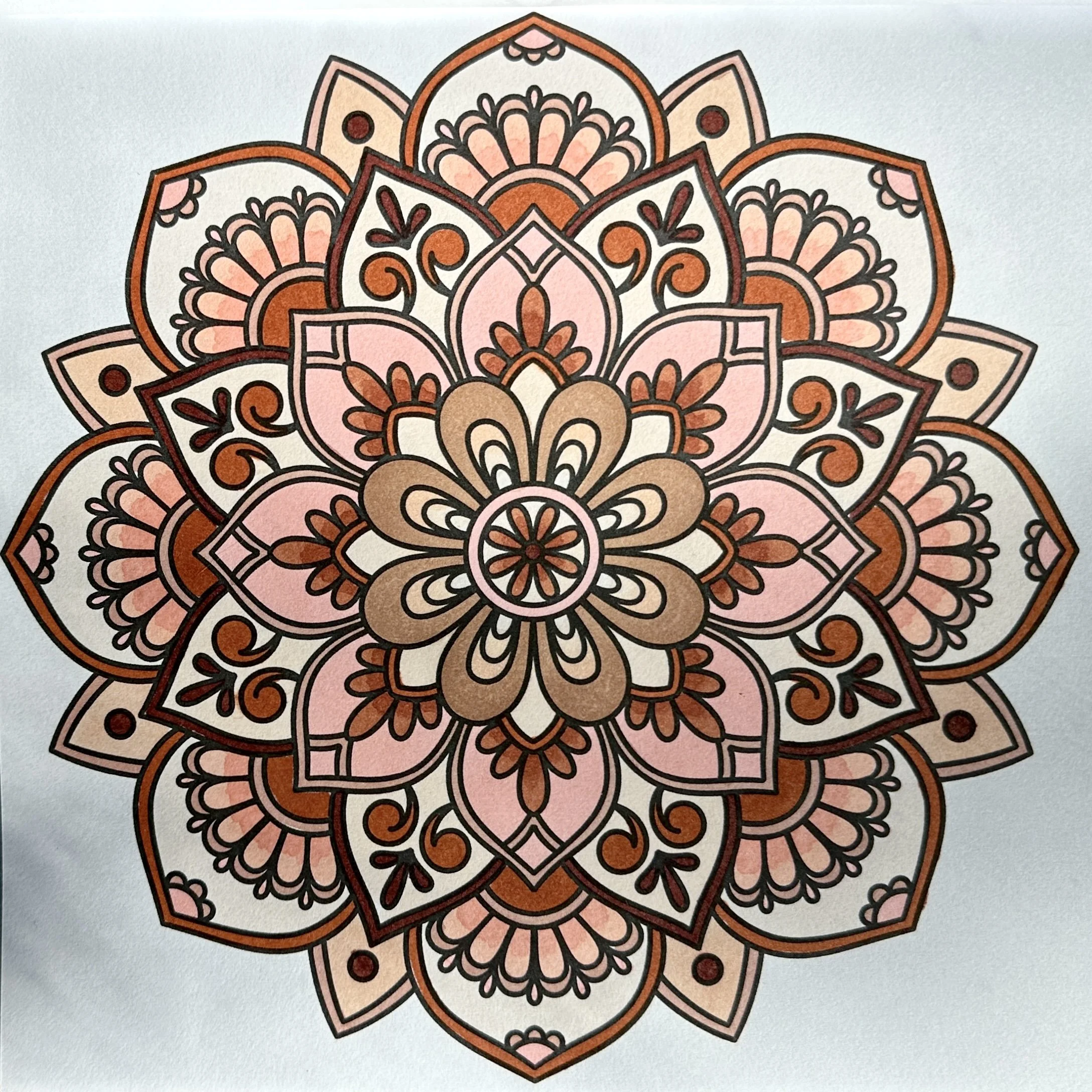 FullSizeRender 2.jpeg