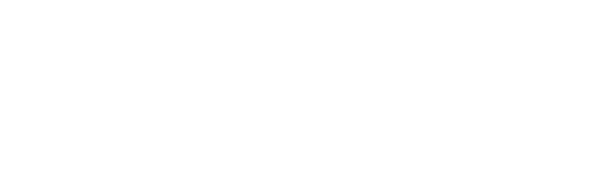 Bingham-Dev-Logo-WHITE.png
