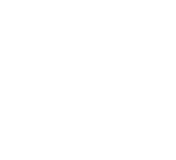 Stacy Eakman Logo