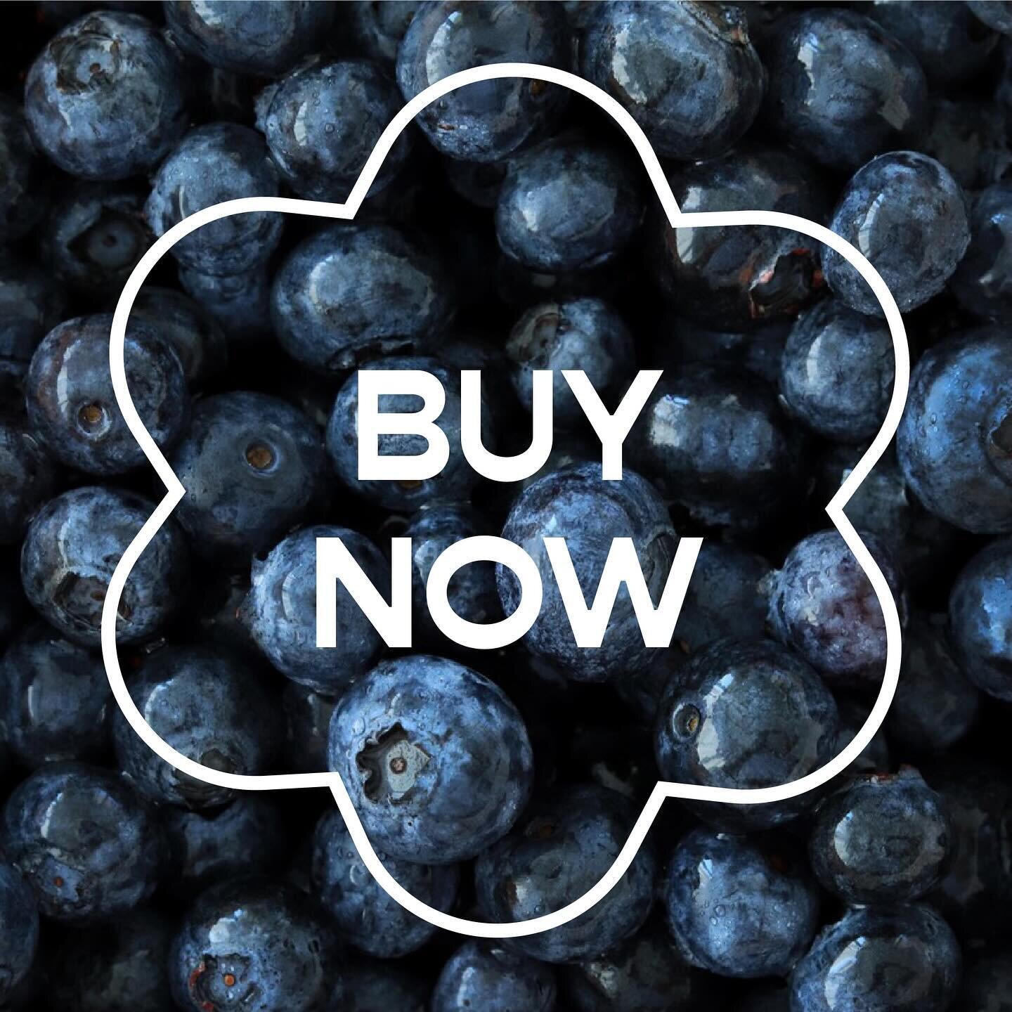 Exciting News! True Earth Organic Blueberries are now just a click away! 🫐

We&rsquo;re thrilled to announce that you can now enjoy the goodness of our premium organic blueberries from the comfort of your home.

Our commitment to providing you with 